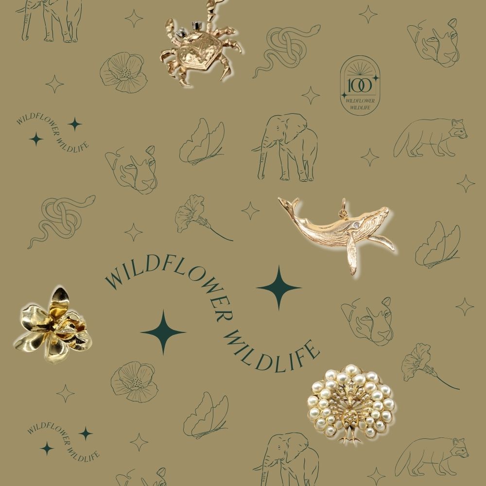 image of repeating sketched animal and floral line art with some jewellery pieces from the collection mixed in. Text over reads: wildflower wildlife