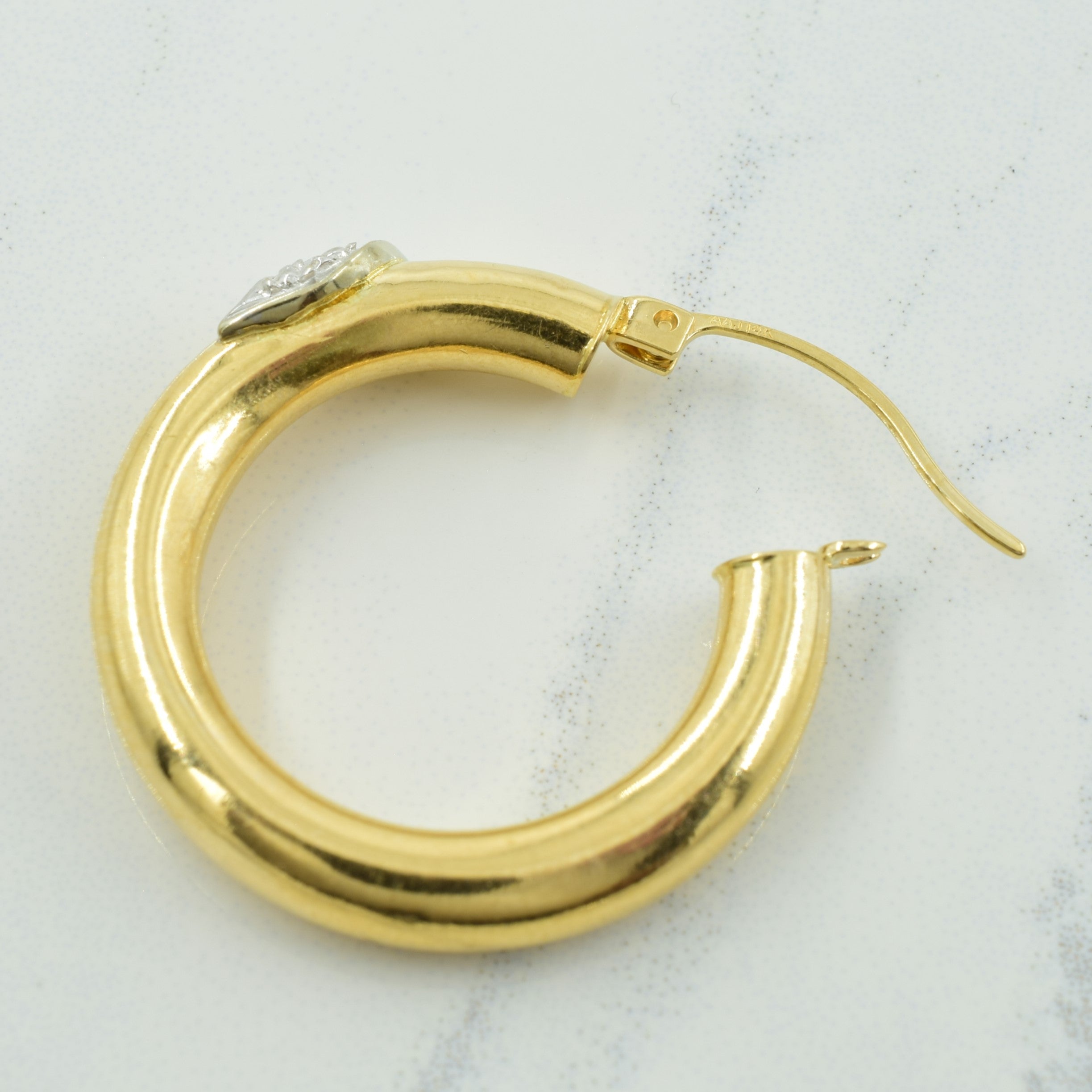 Diamond Hoop Earrings | 0.03ctw |
