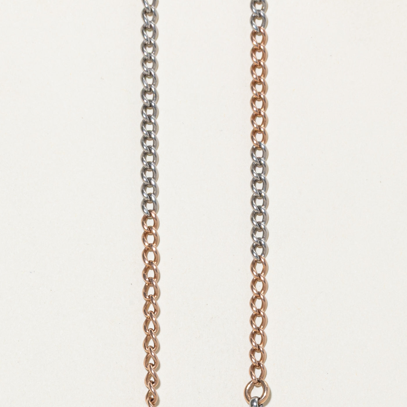 Chaîne de montre à maillons gourmette bicolore avec fermoir pour chien | 35,5 cm