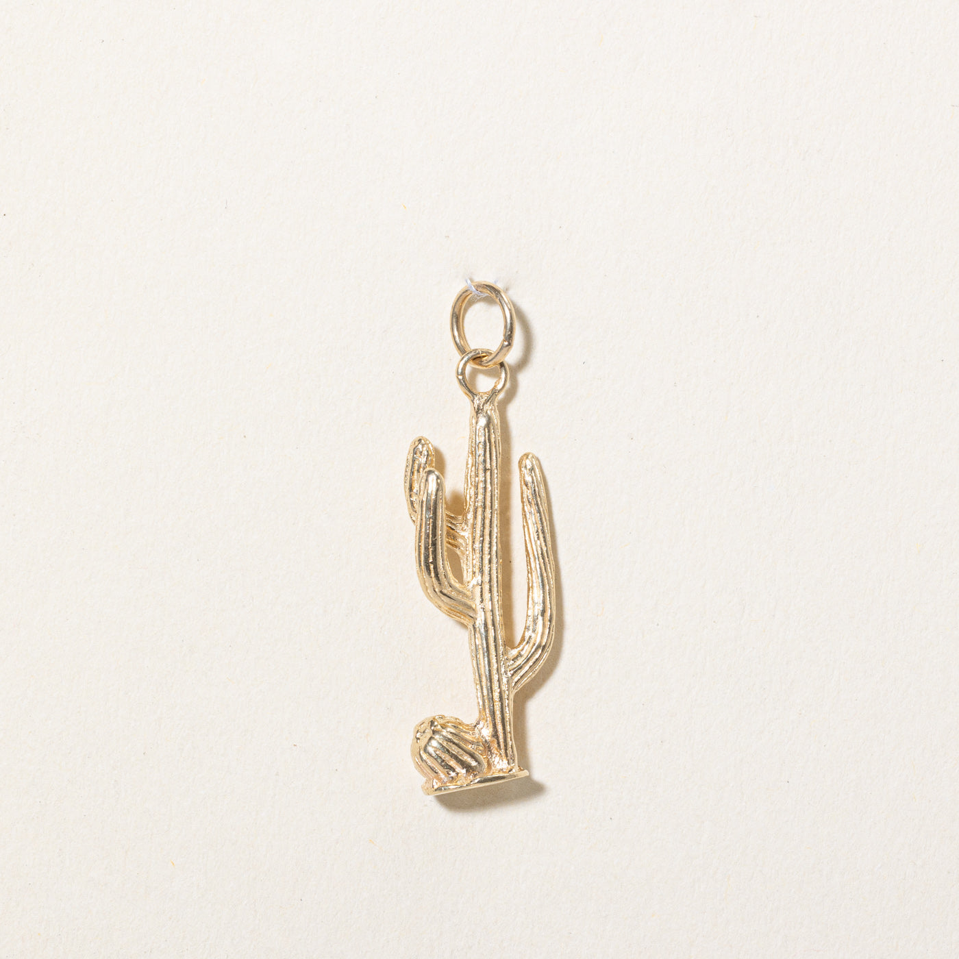 14k Yellow Gold Cactus Charm
