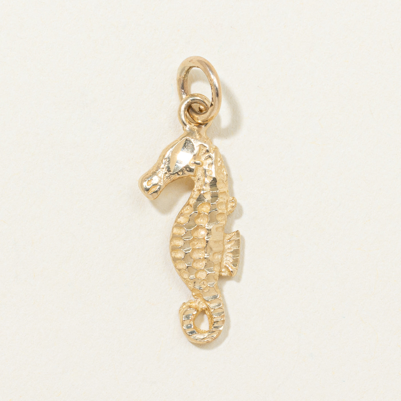 14K Yellow Gold Textured Seahorse Charm