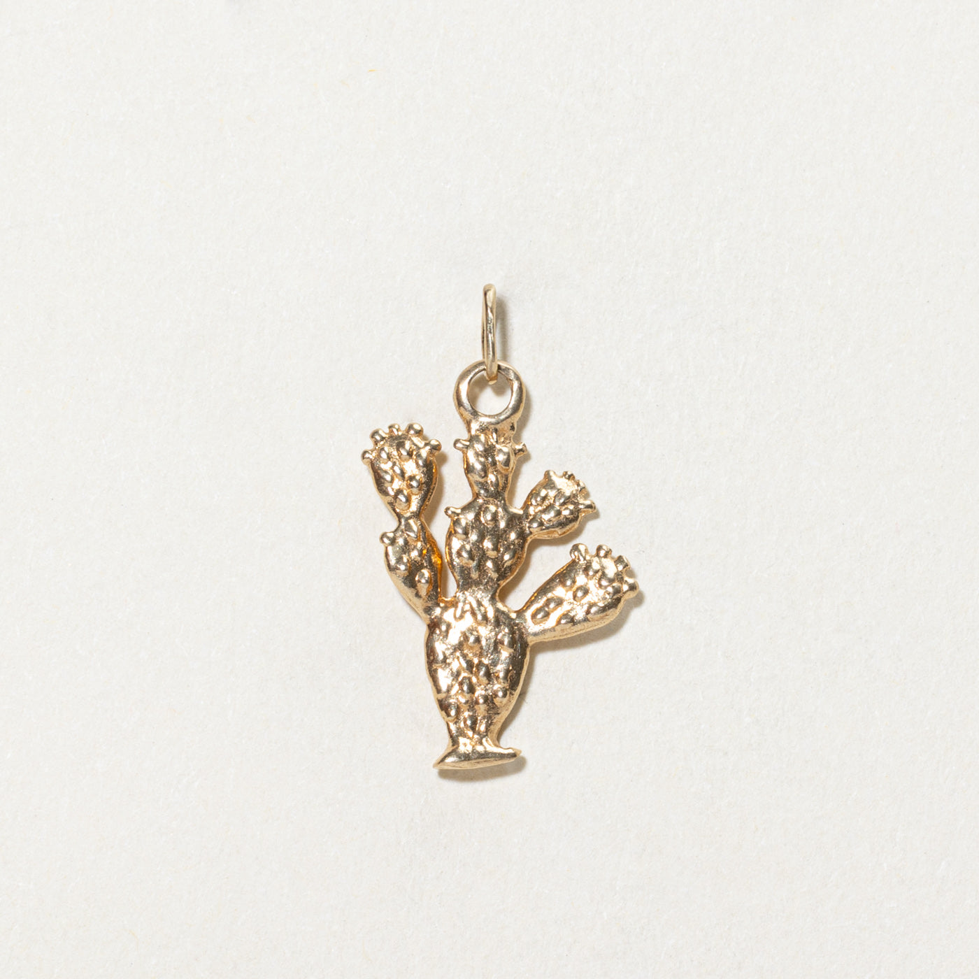 14K Yellow Gold Cactus Charm
