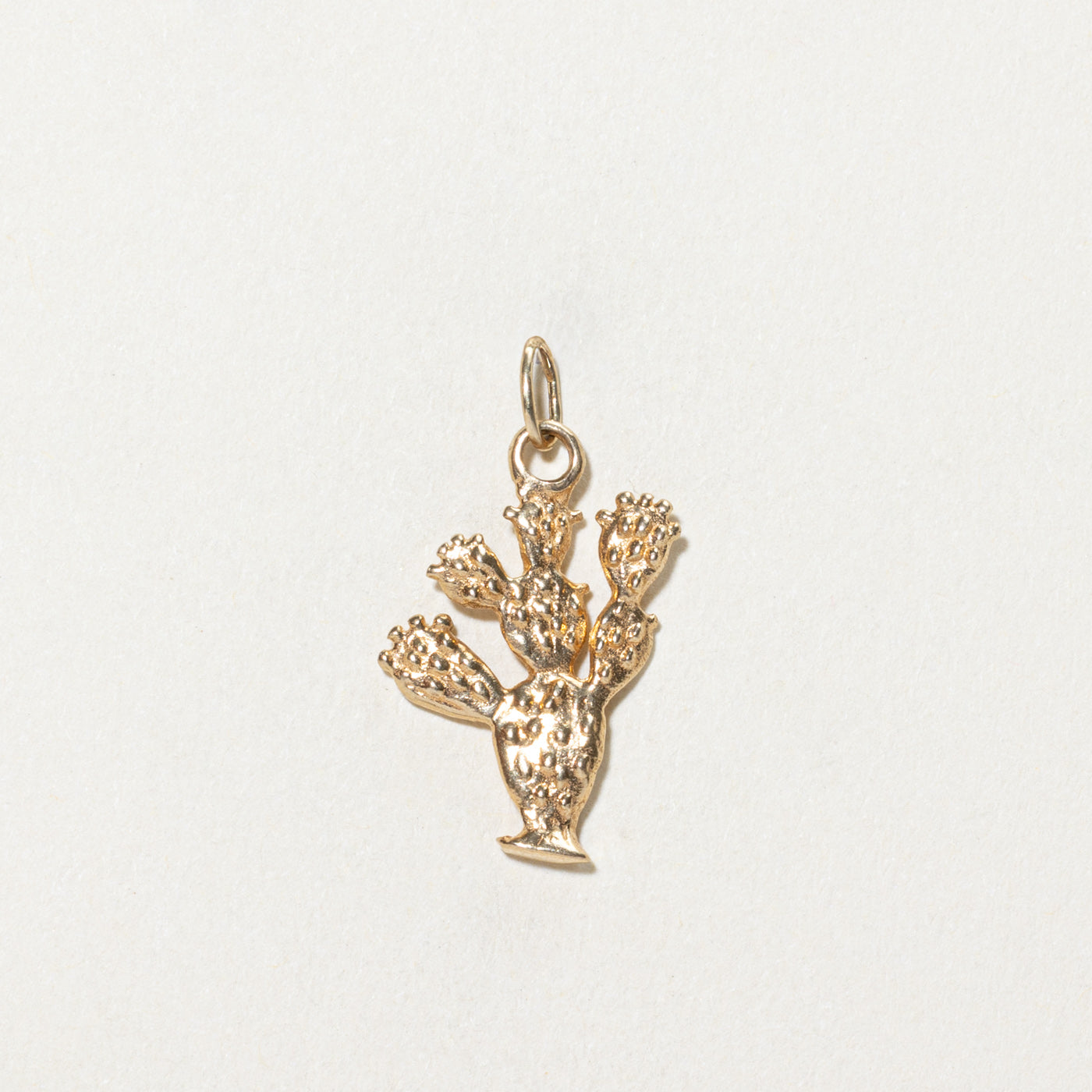 14K Yellow Gold Cactus Charm