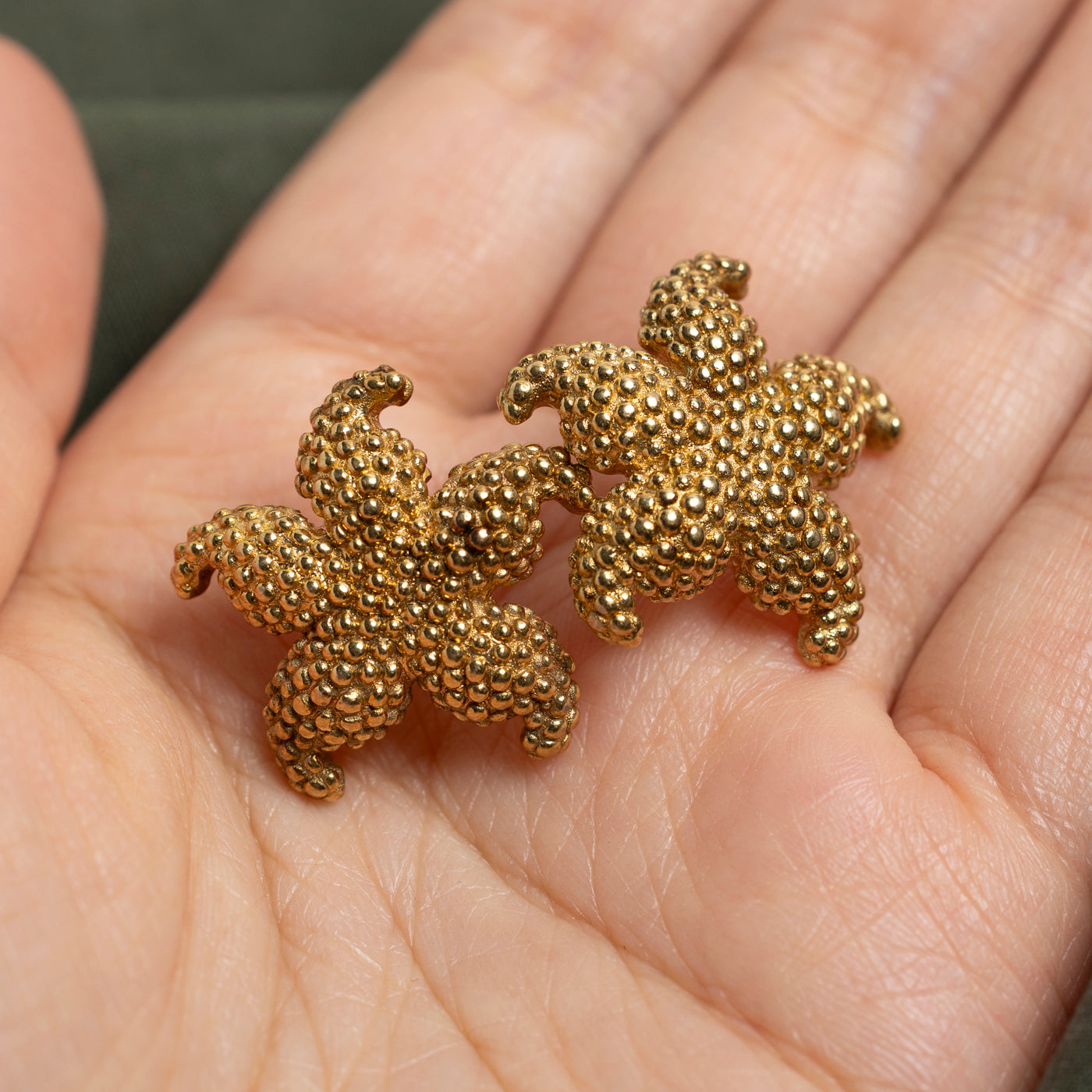 14k Yellow Gold Textured Starfish Stud Earrings