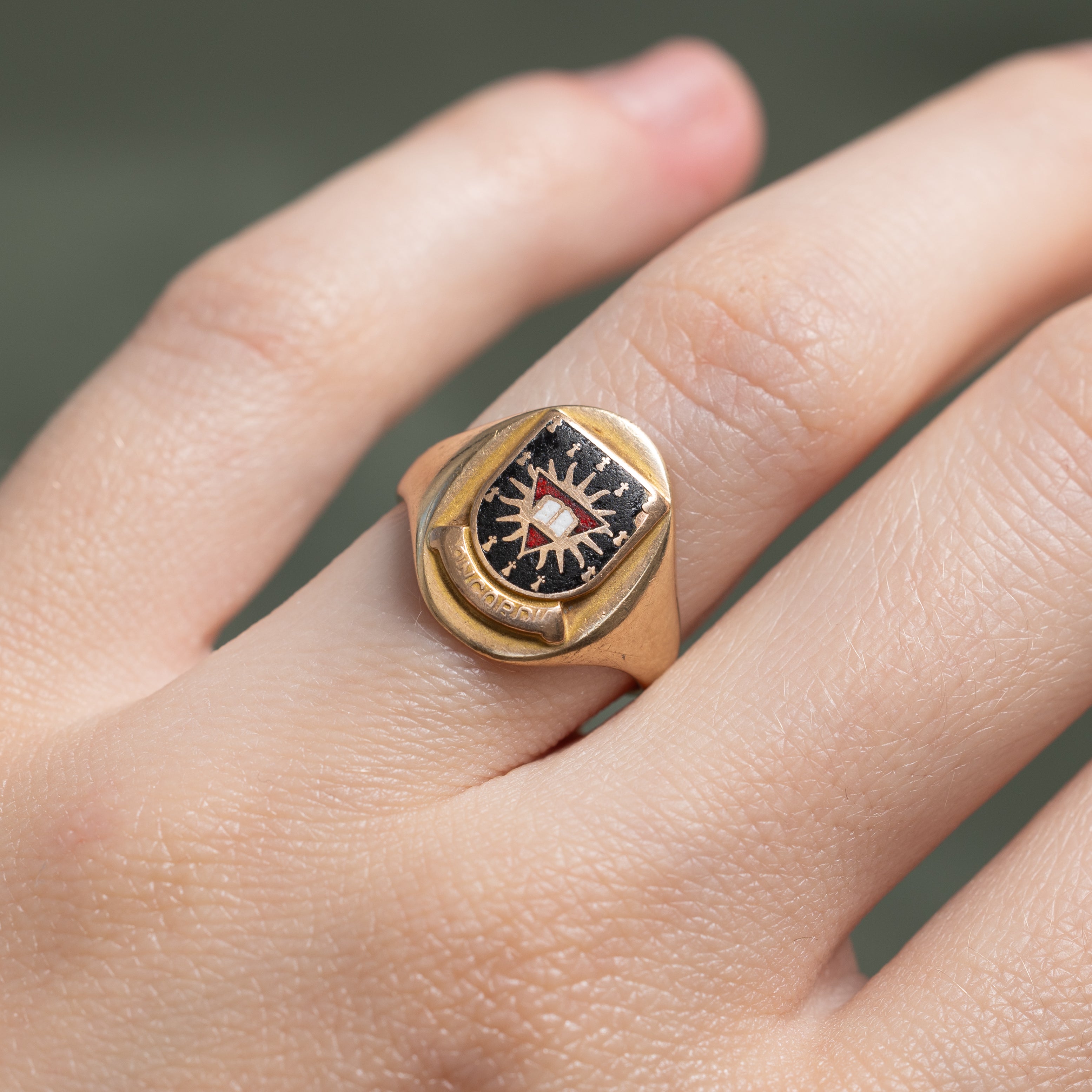 'Birks' 10k Yellow Gold Enamel "Concordia" Crest Signet Ring | SZ 5