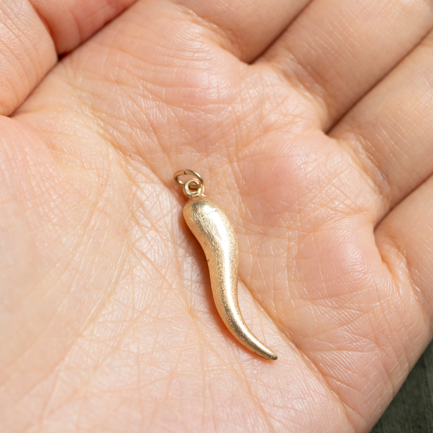 14k Yellow Gold Cornicello Charm