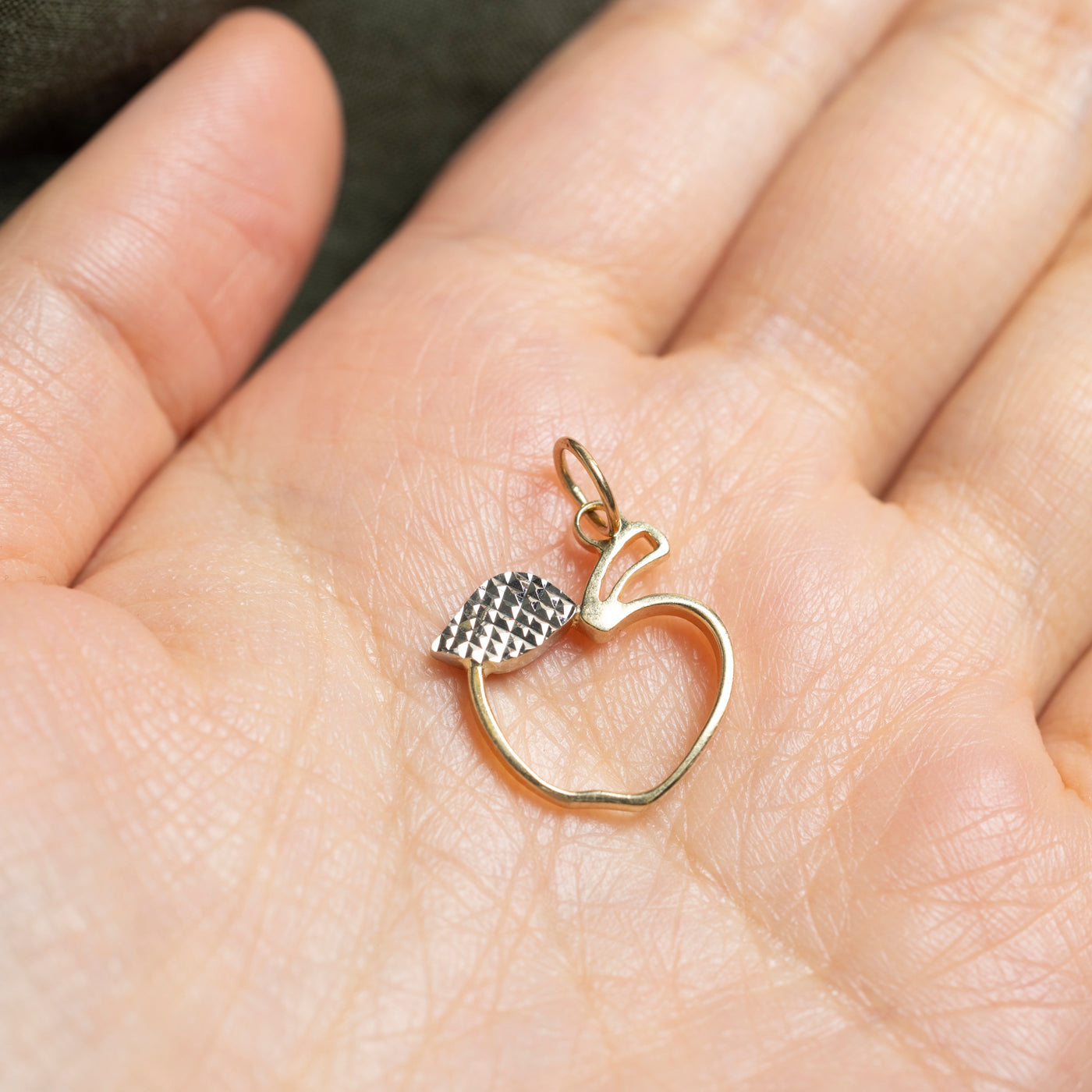 14k Yellow Gold Apple Charm