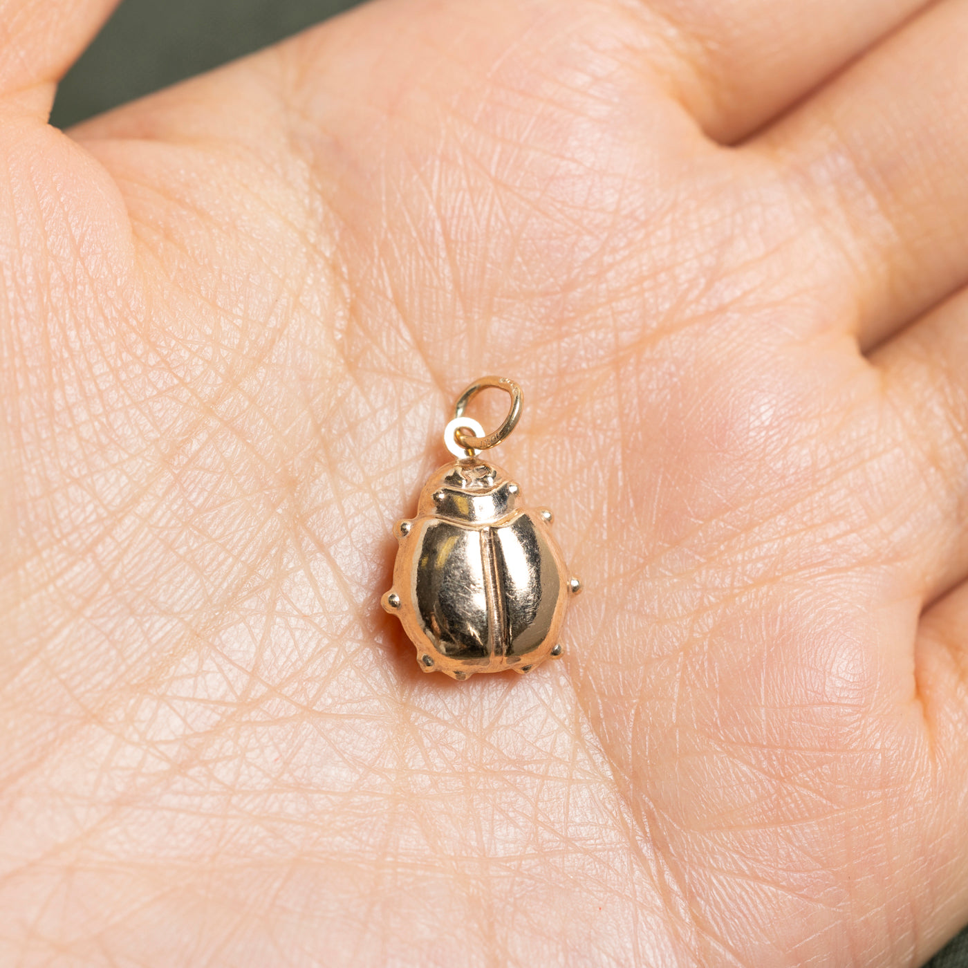 10k Yellow Gold Ladybug Charm