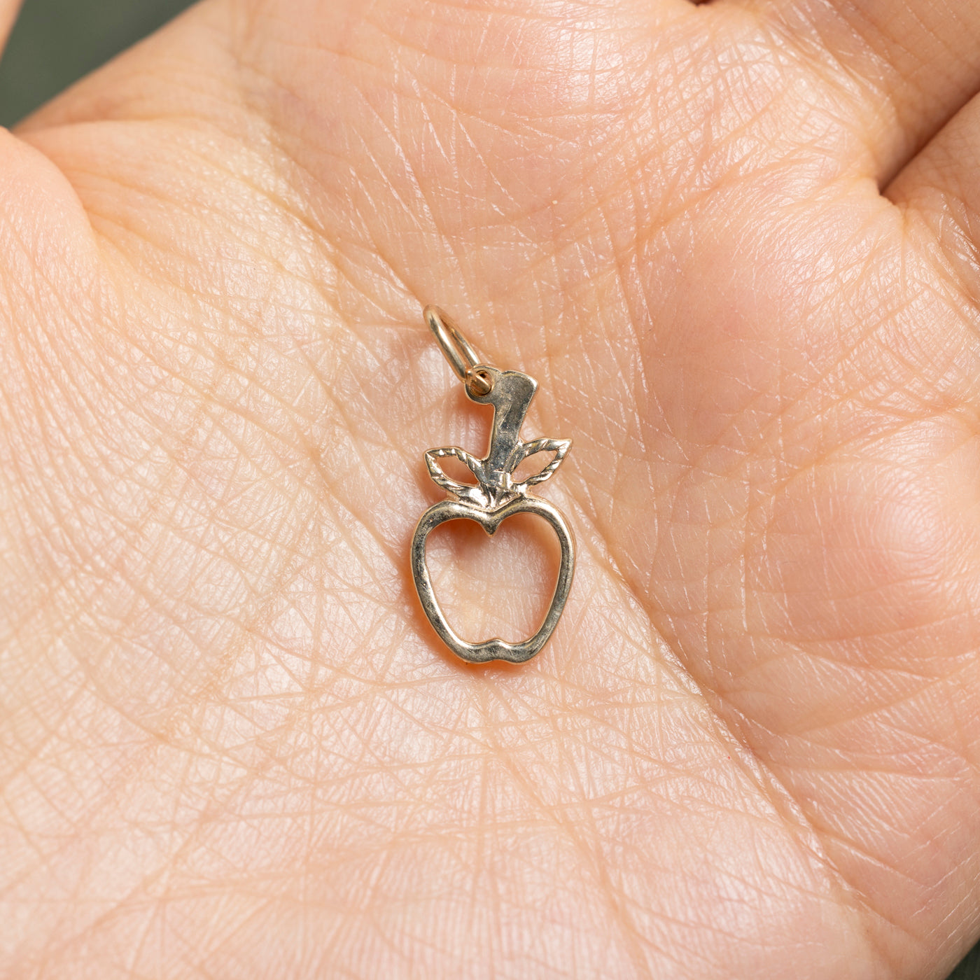 10k Yellow Gold Apple Charm