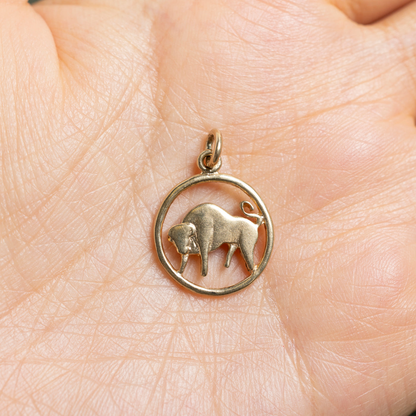 10k Yellow Gold Taurus Zodiac Charm