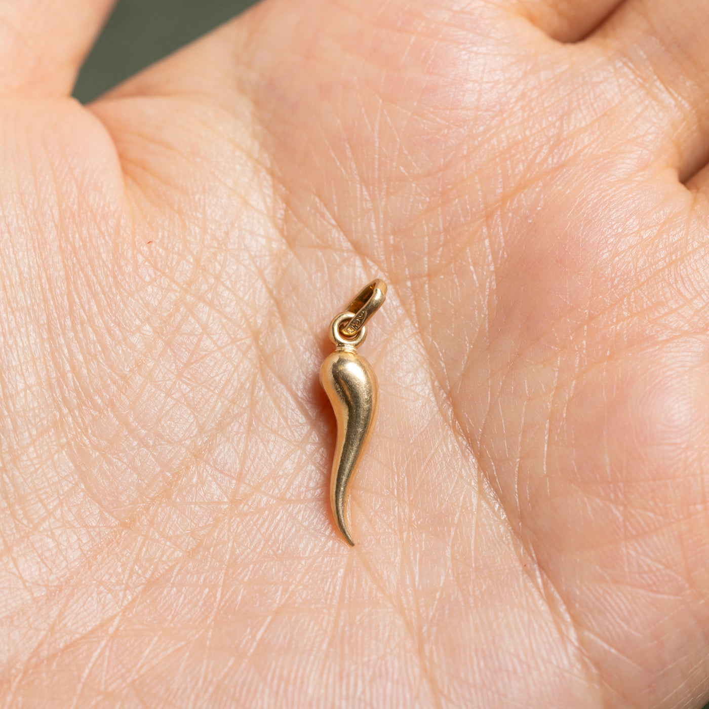 18k Yellow Gold Cornicello Charm