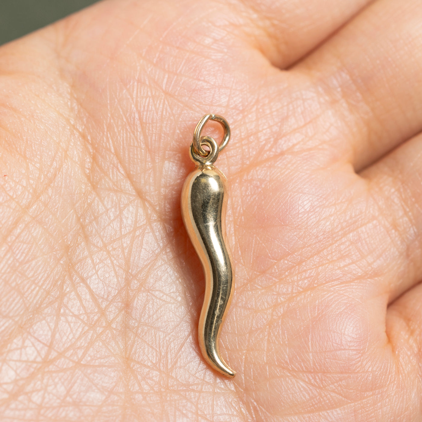 10k Yellow Gold Cornicello Italian Horn Charm