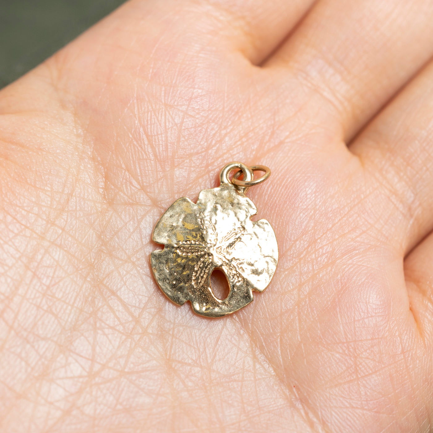 14k Yellow Gold Sand Dollar Charm