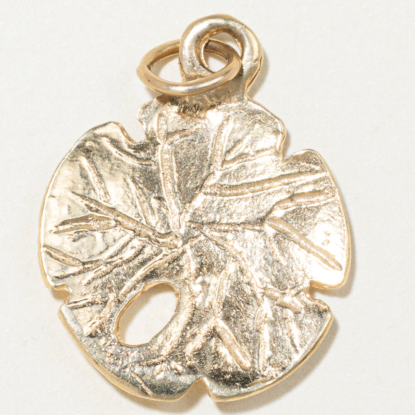 14k Yellow Gold Sand Dollar Charm