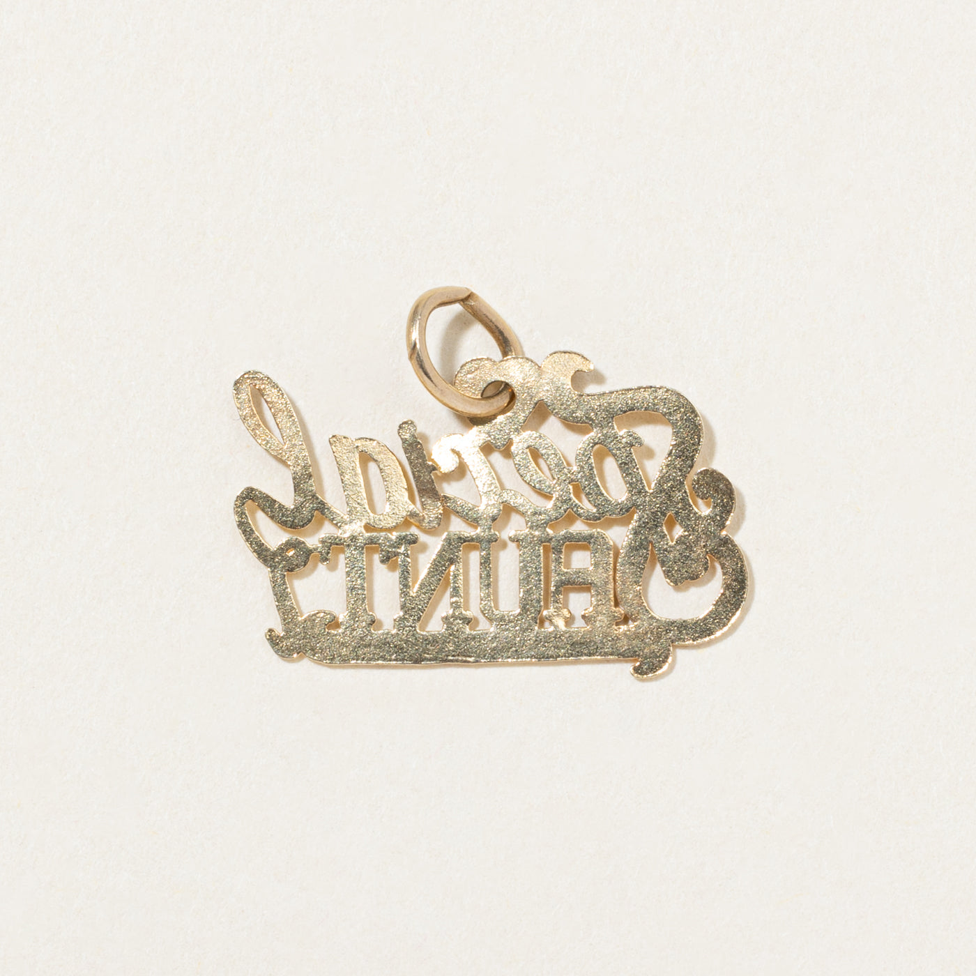 10k Yellow Gold "Special Aunt" Charm