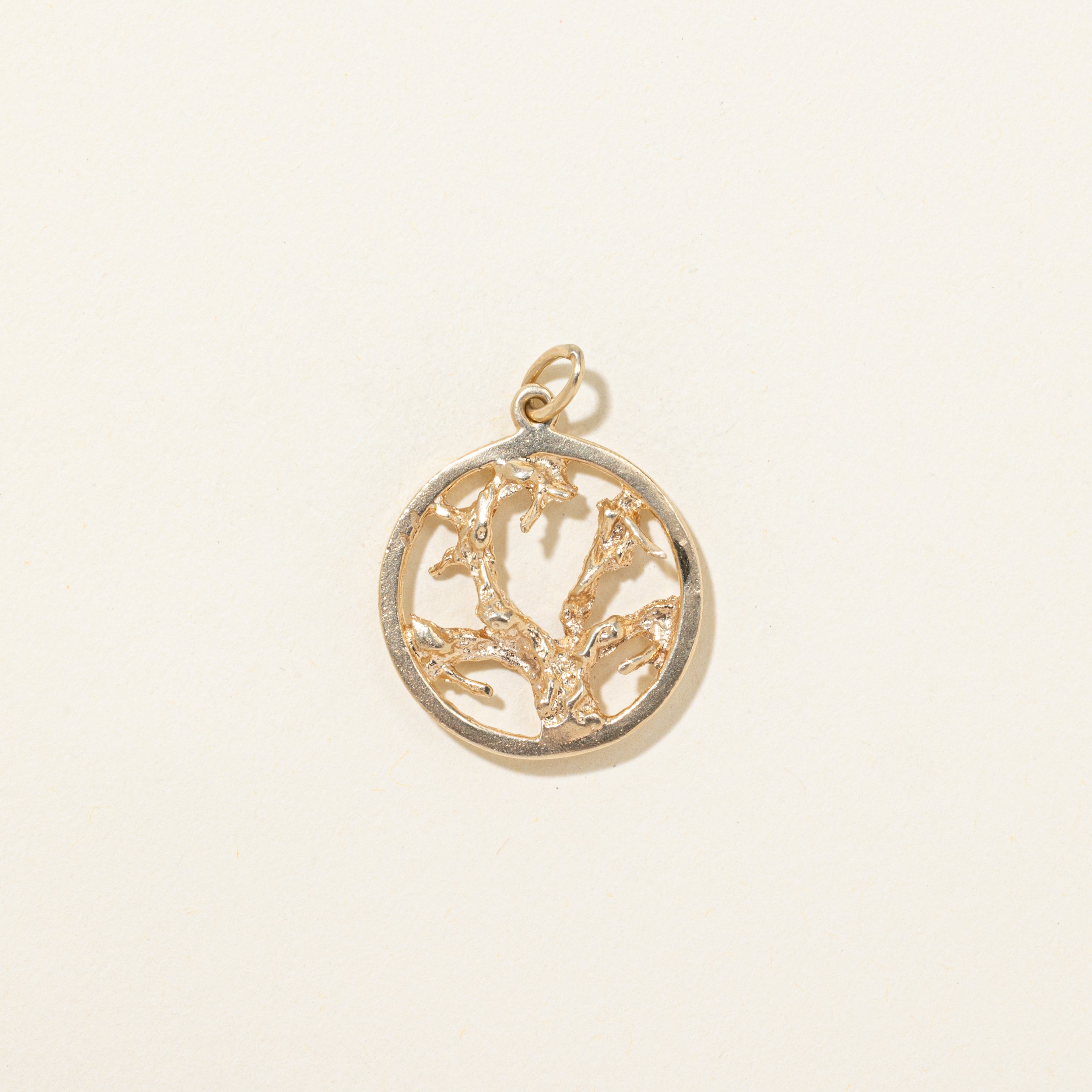 14k Yellow Gold Branches Circle Charm