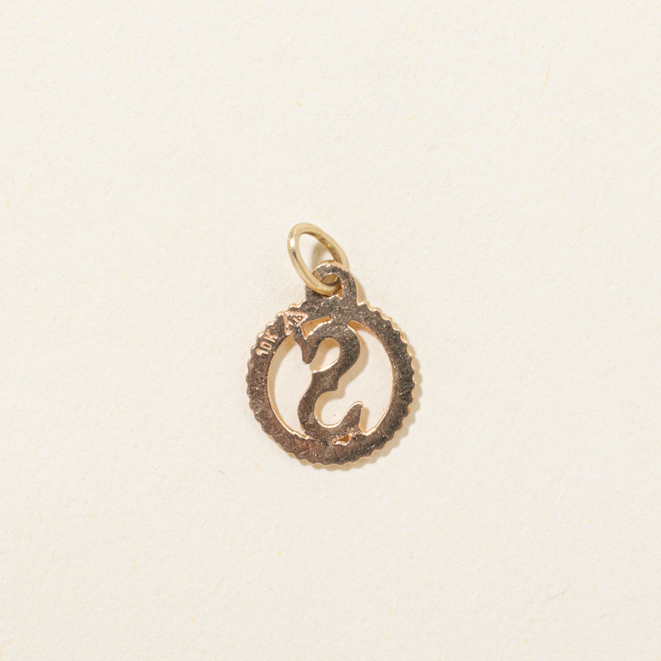 10k Yellow Gold "S" Initial Charm
