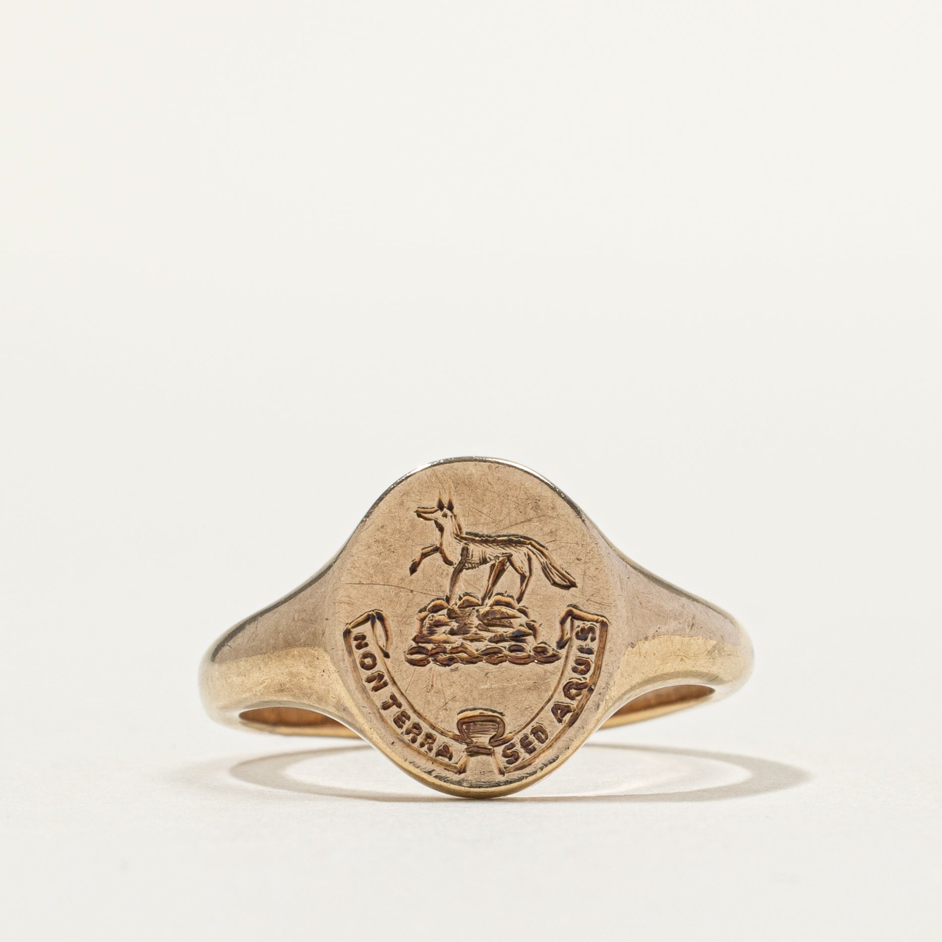 10k Yellow Gold Crest Signet Ring | SZ 5