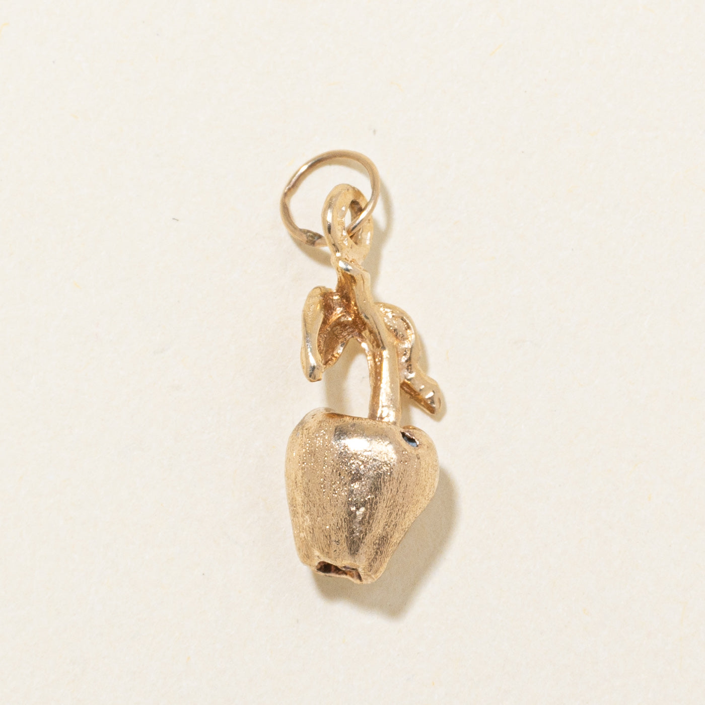 10k Yellow Gold Apple Charm