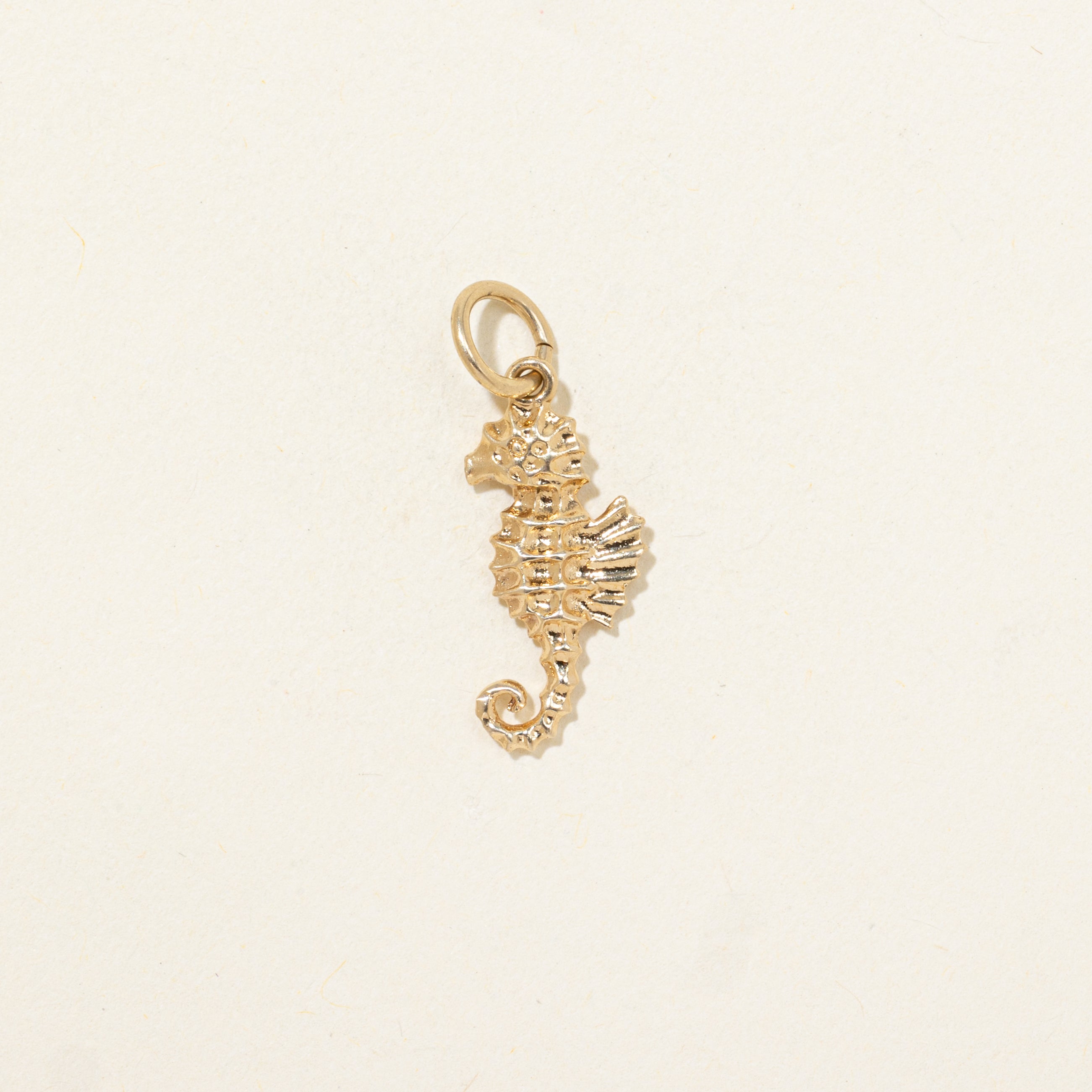 14k Yellow Gold Seahorse Charm