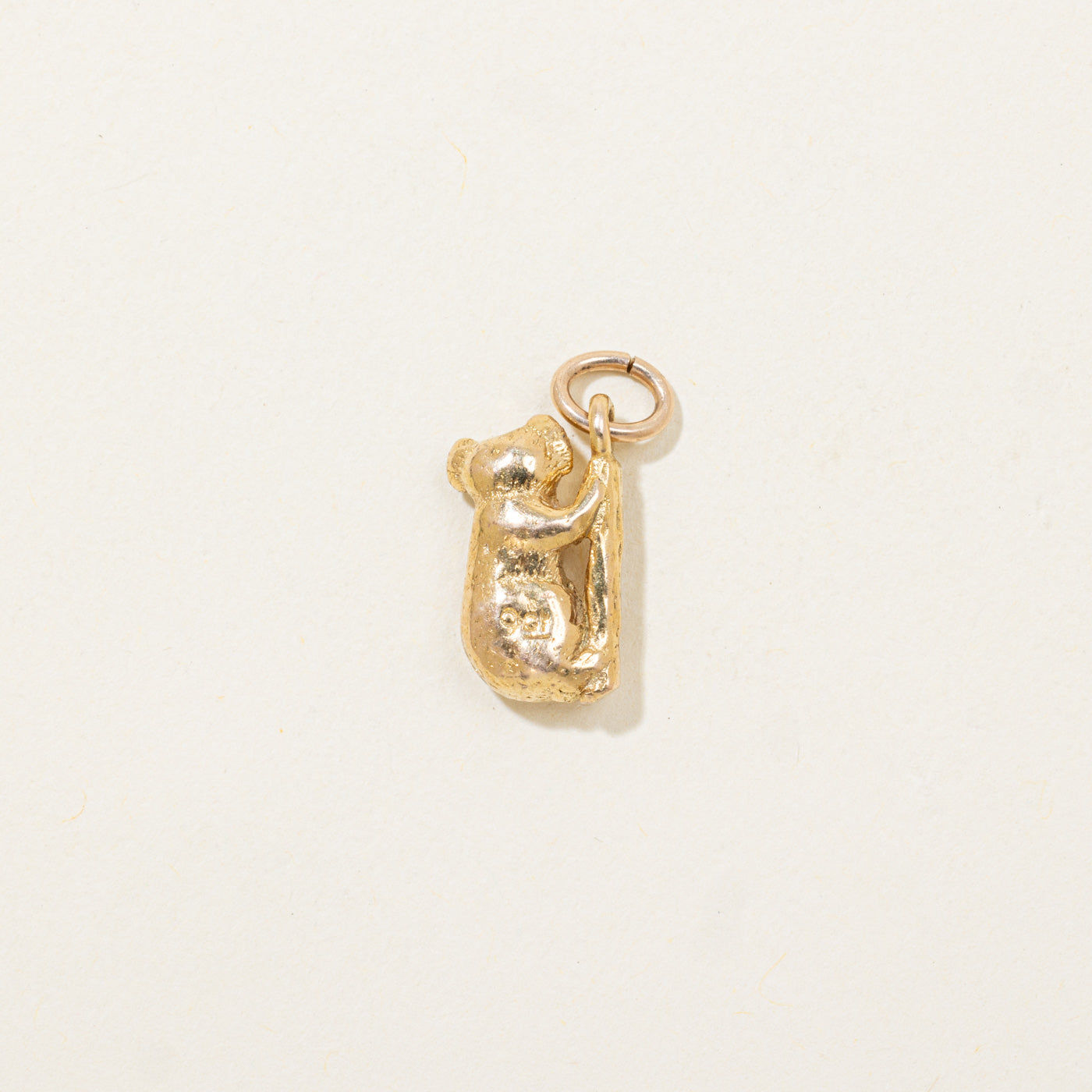 Charme de l'ours koala