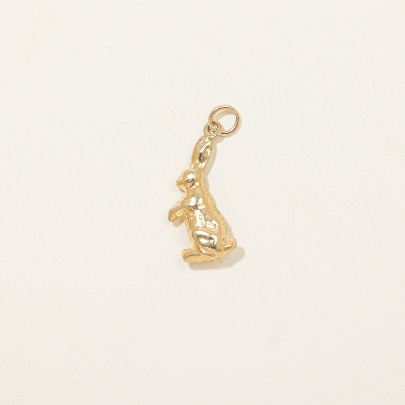 Rabbit Charm