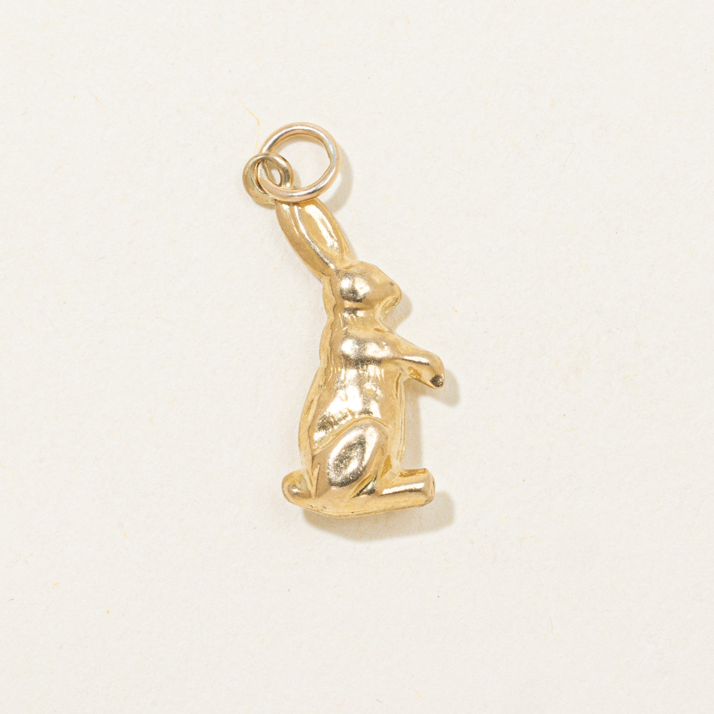 Rabbit Charm
