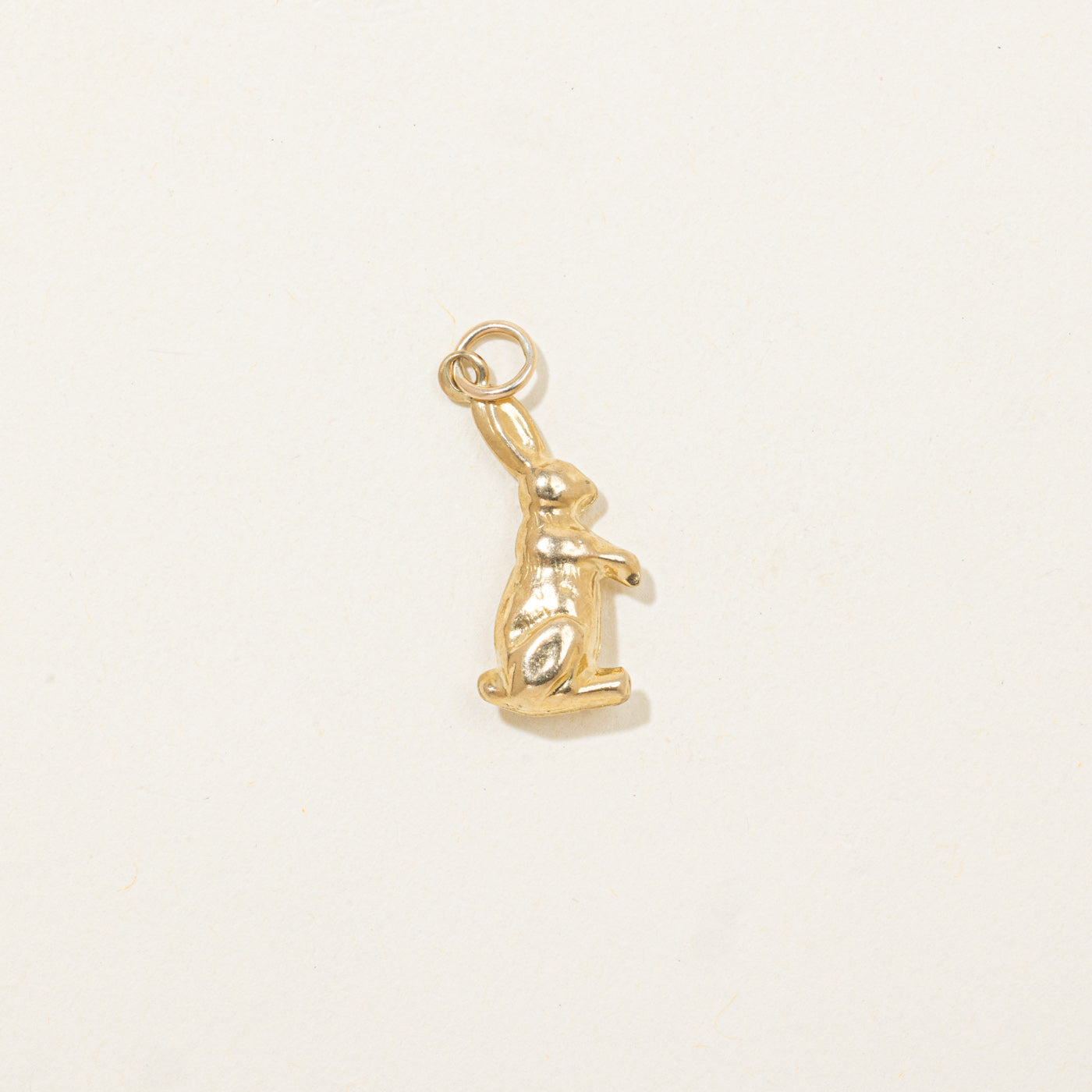 Rabbit Charm
