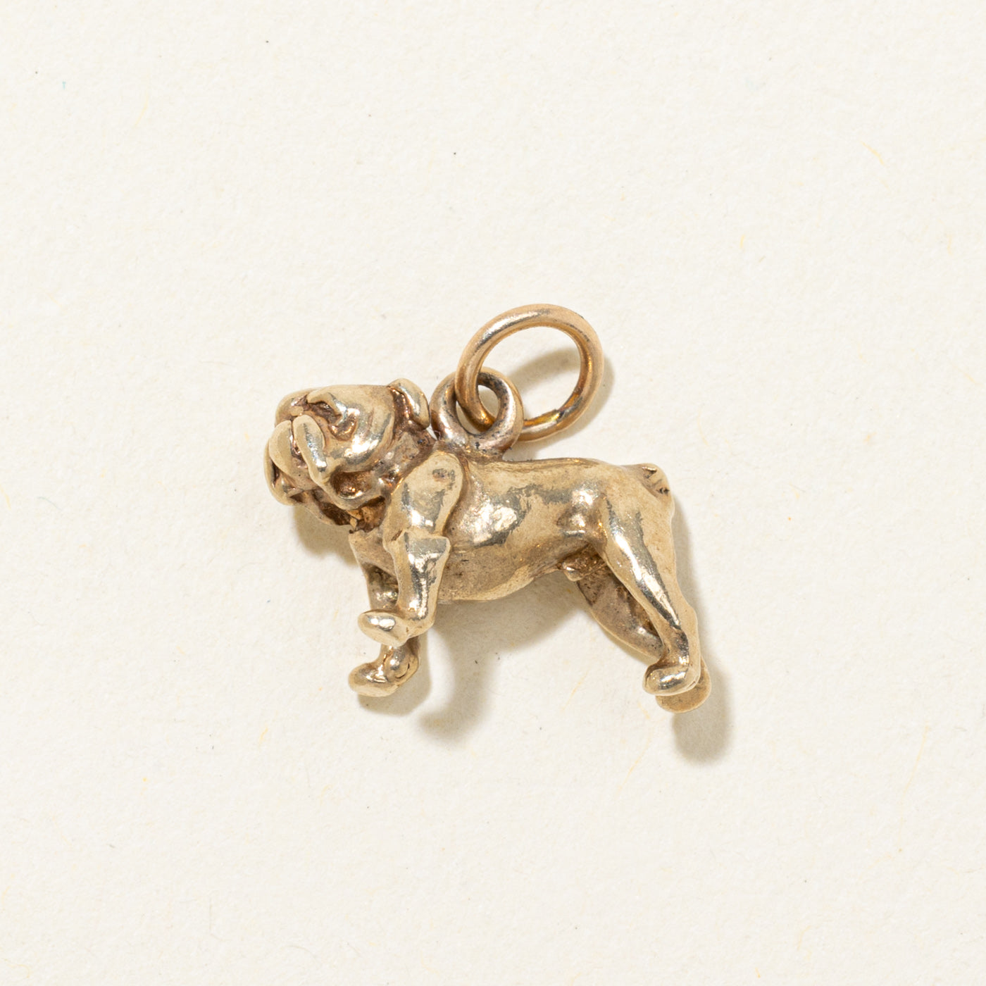 10K Bulldog Charm