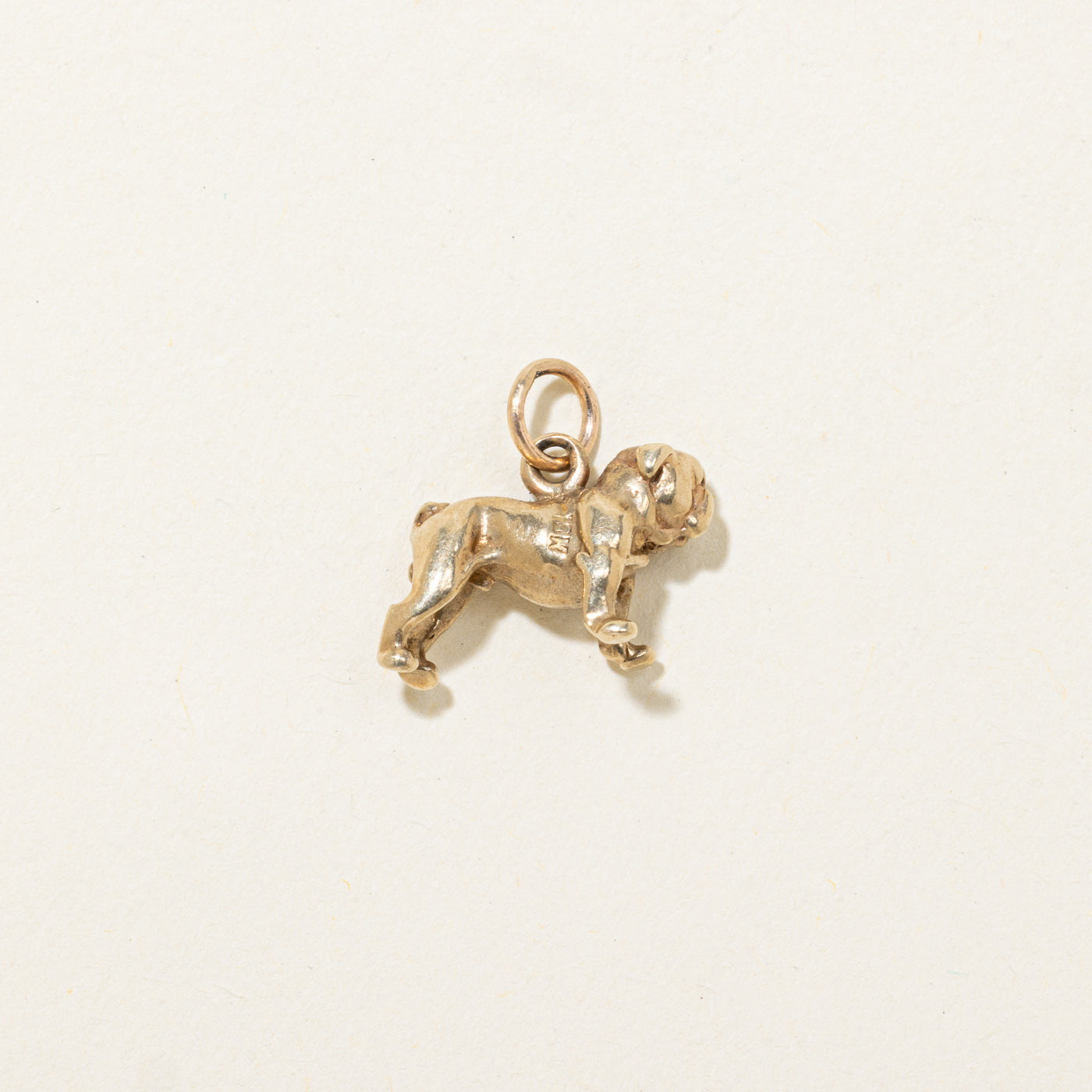 10K Bulldog Charm