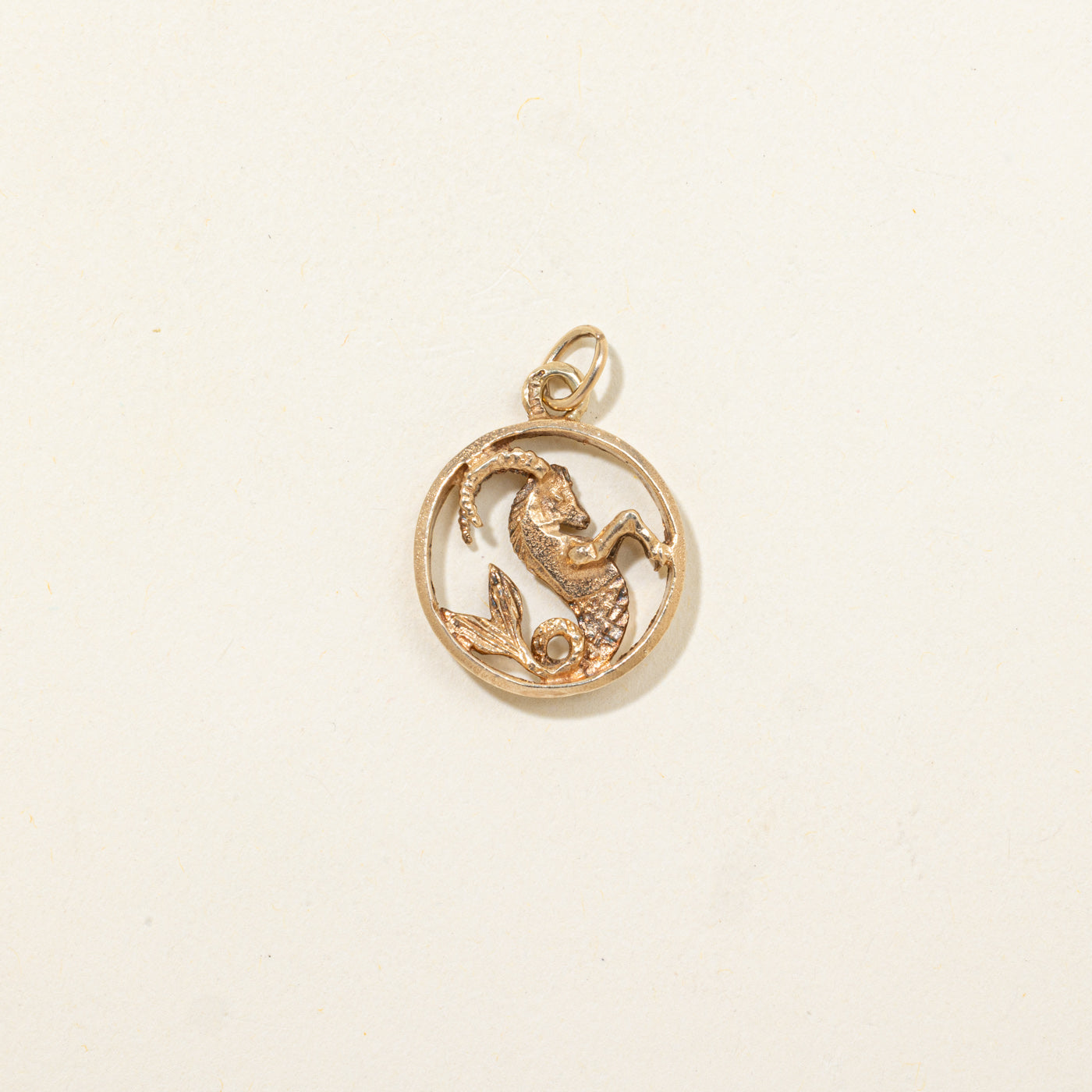 Charme du zodiaque Capricorne 10K