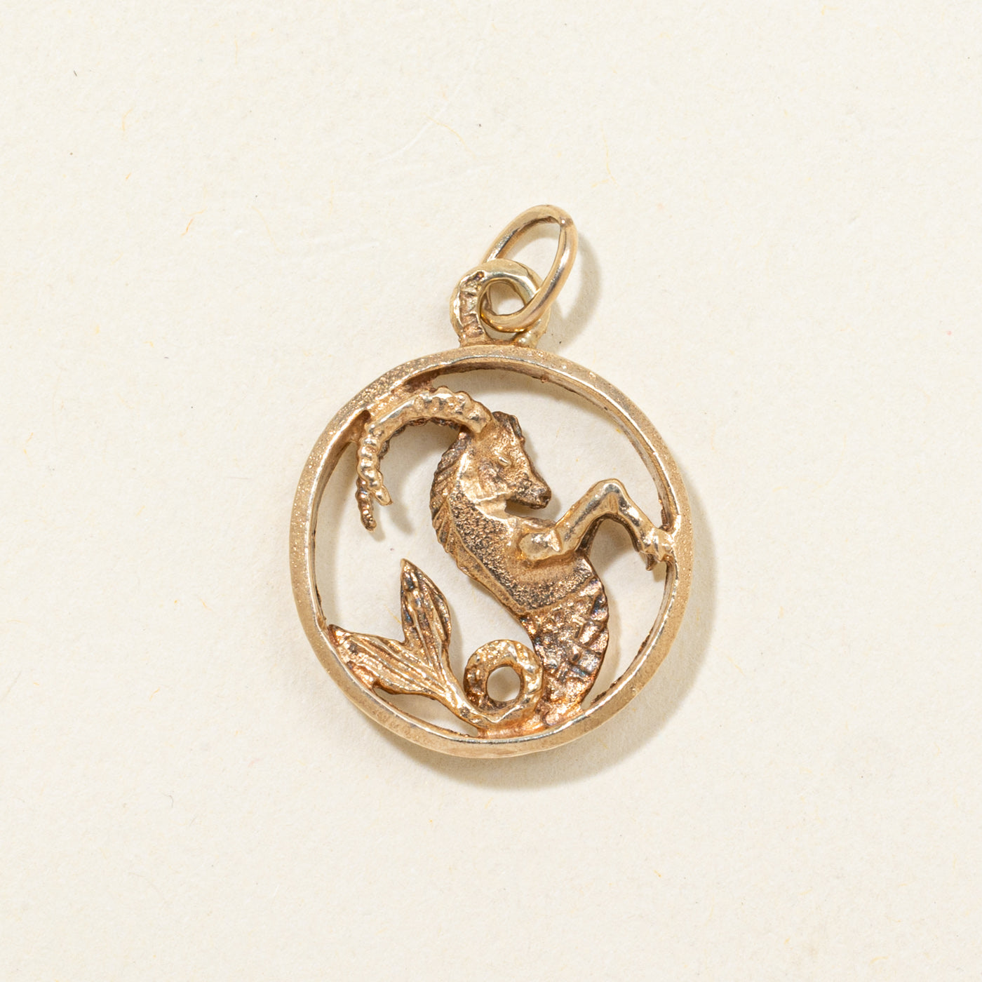 Charme du zodiaque Capricorne 10K