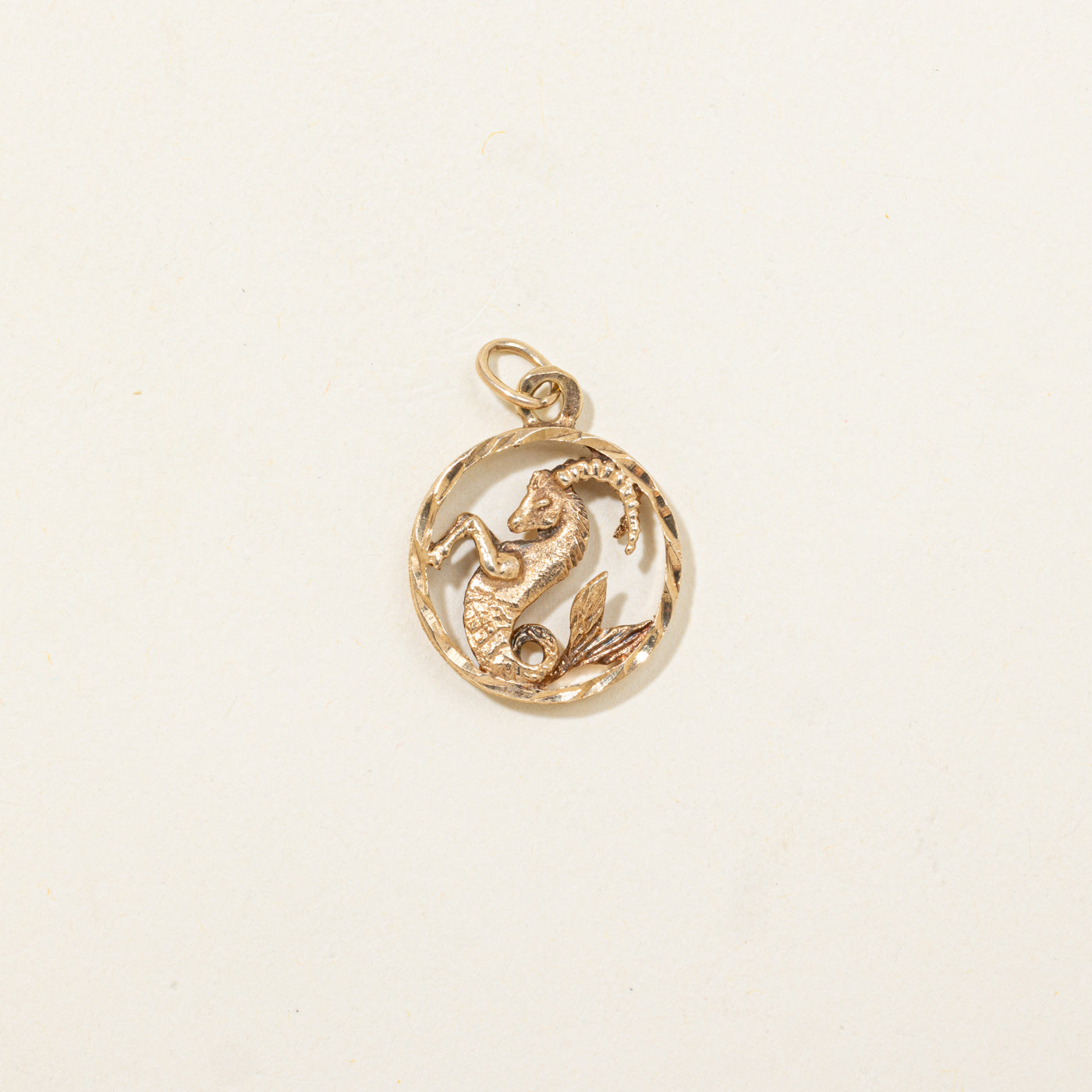 Charme du zodiaque Capricorne 10K