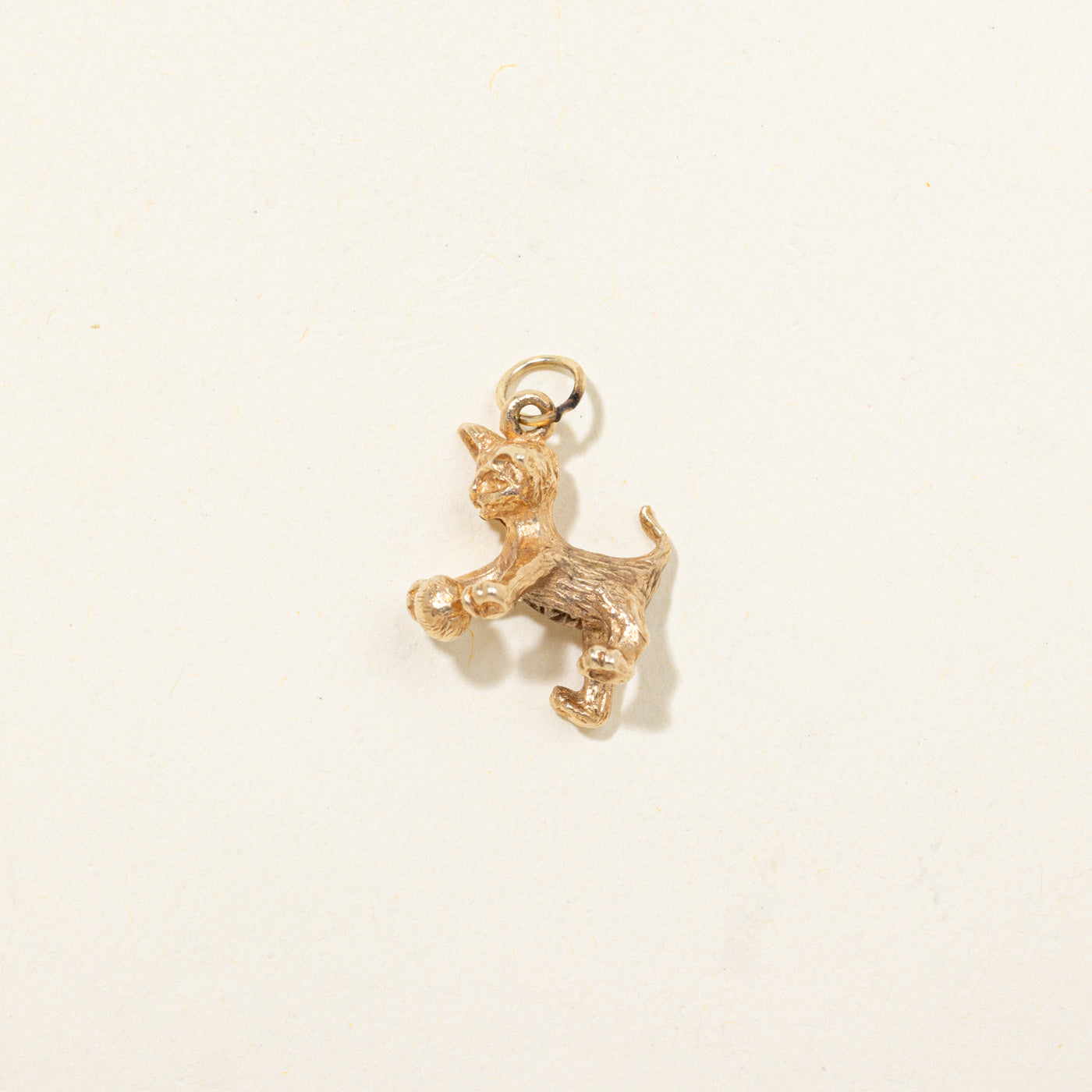 10k Cat Charm