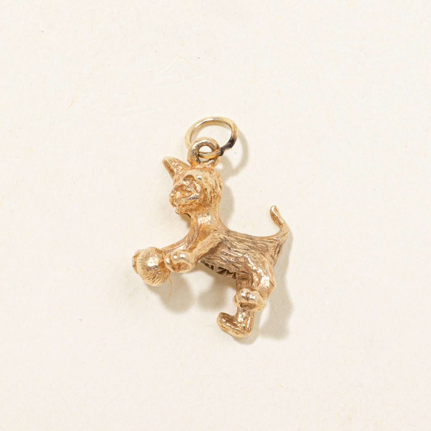 10k Cat Charm