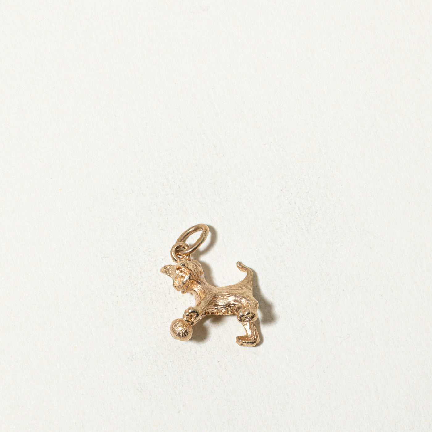 10k Cat Charm