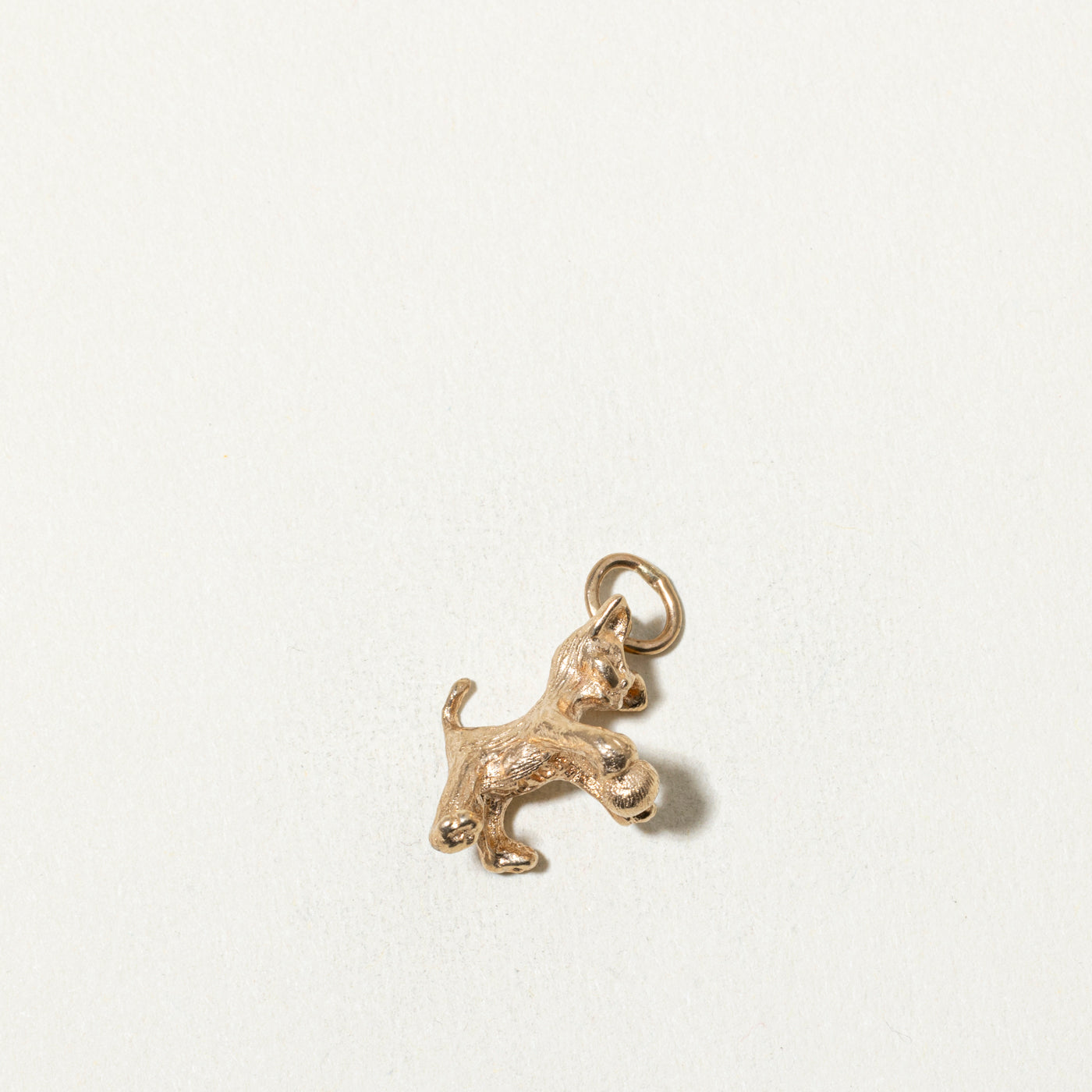 10k Cat Charm