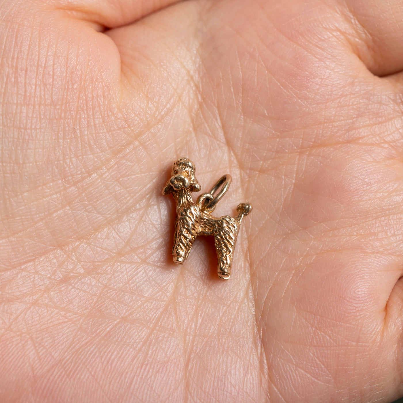 10k Poodle Dog Charm