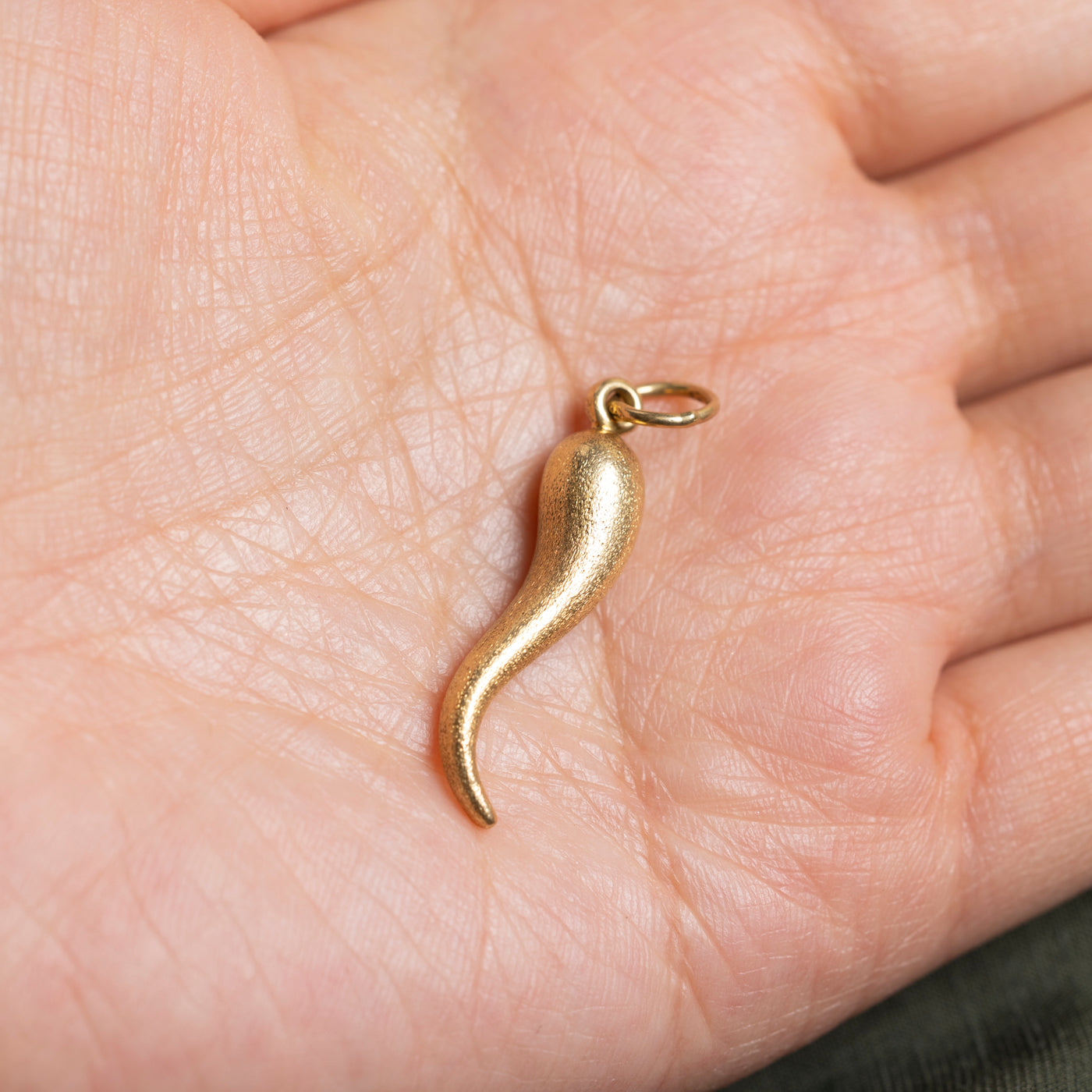 18k Cornicello Textured Charm