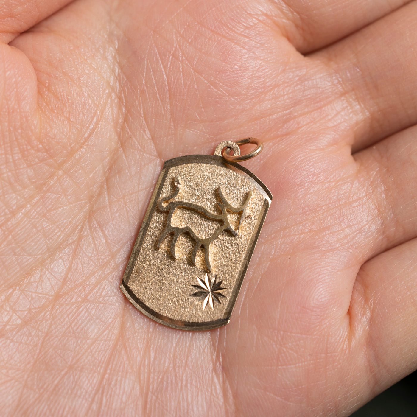 10k Capricorn Zodiac Pendant