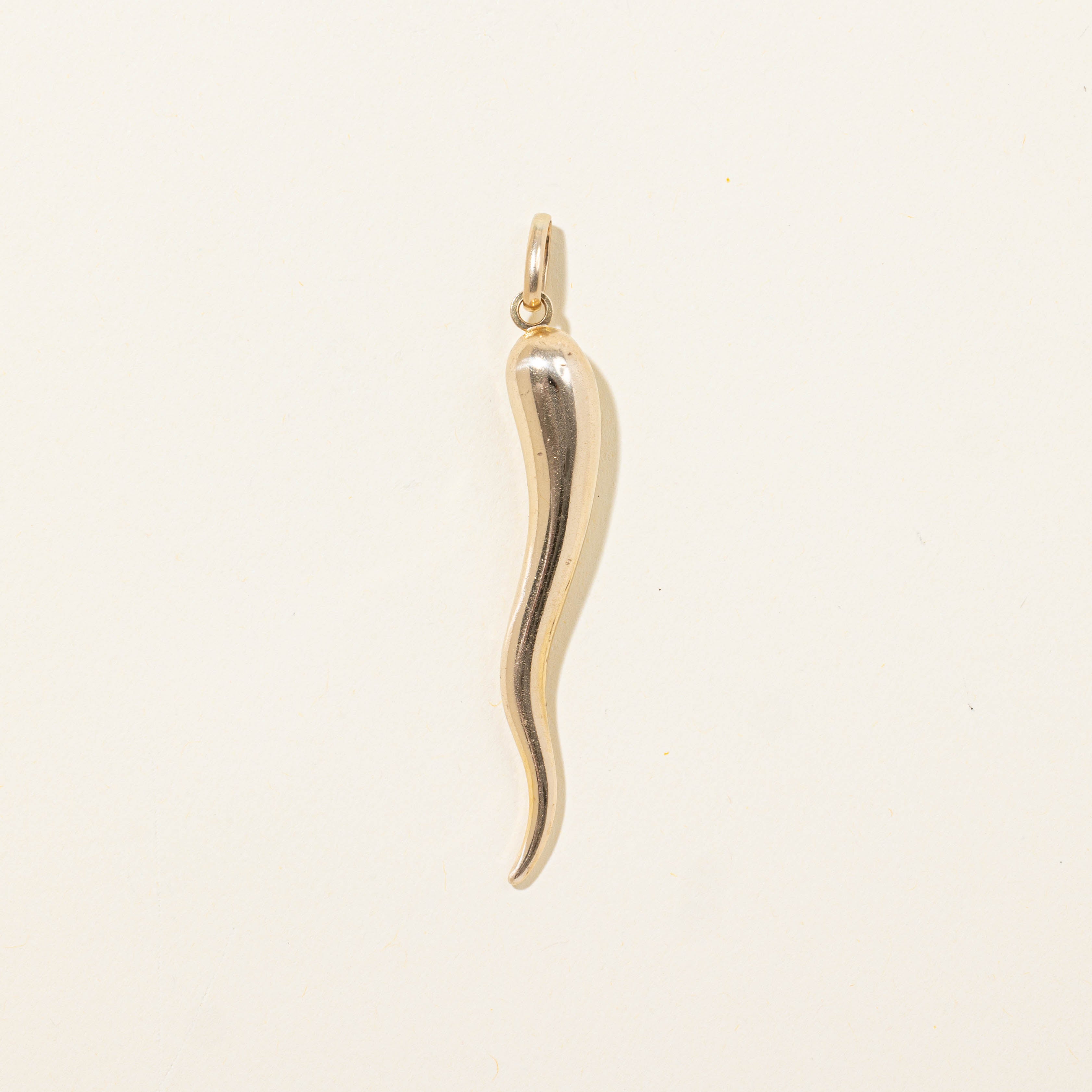 10k Cornicello Charm