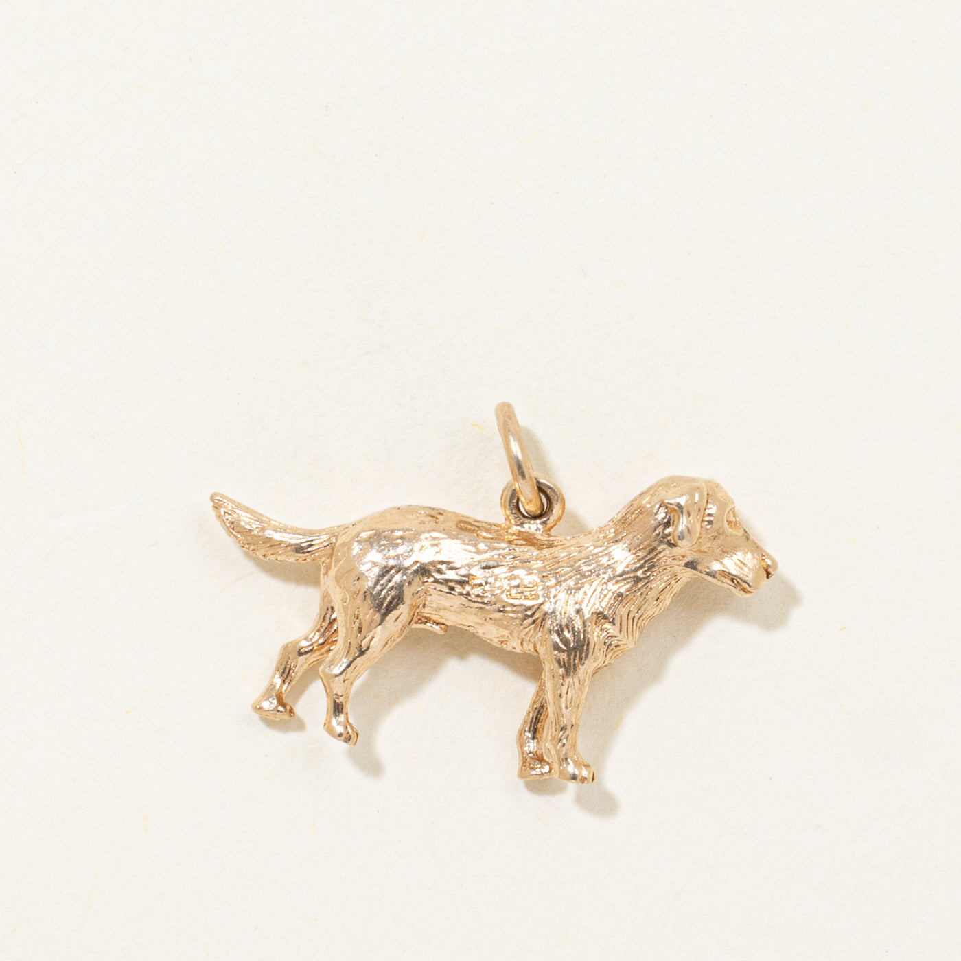 1962 Birmingham Dog Charm
