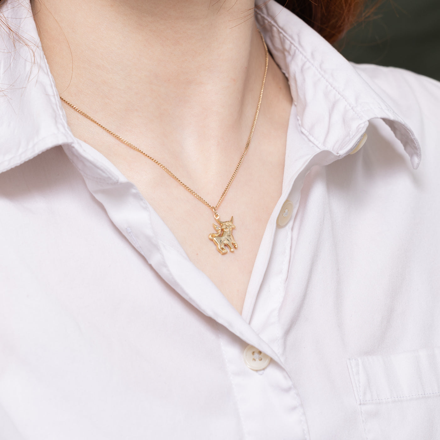 Charme de taureau en diamant