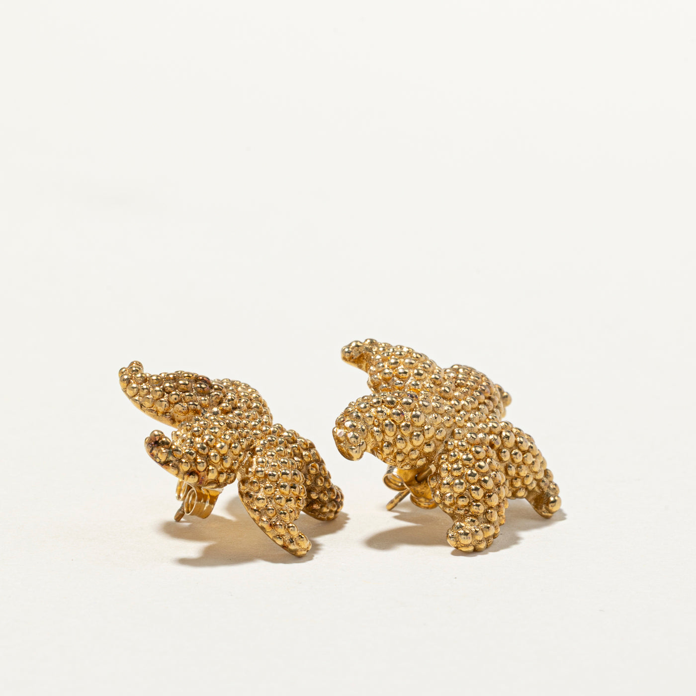 14k Yellow Gold Textured Starfish Stud Earrings