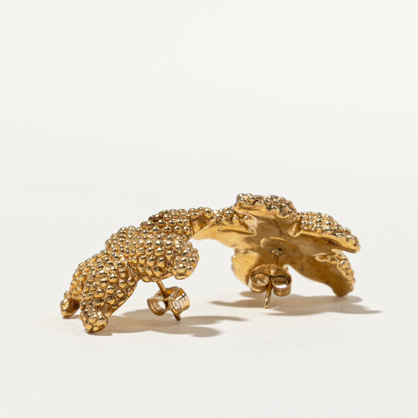 14k Yellow Gold Textured Starfish Stud Earrings