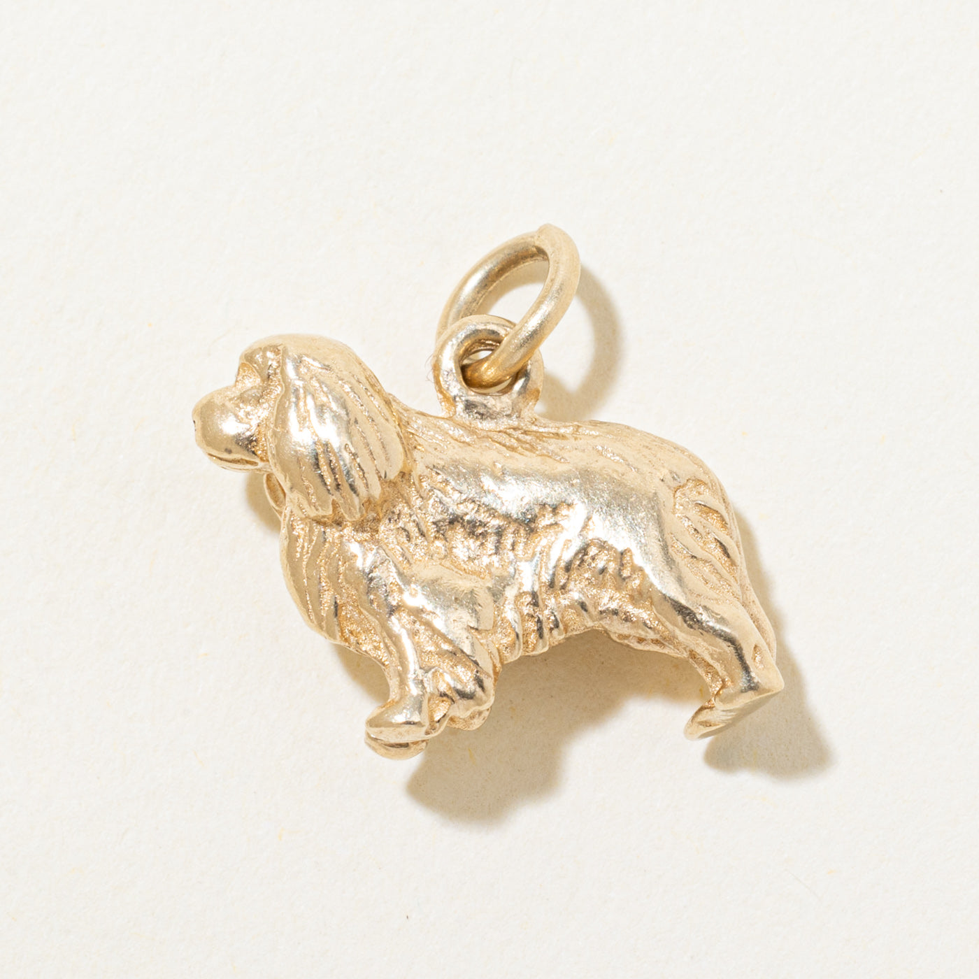 14k Yellow Gold Spaniel Dog Charm