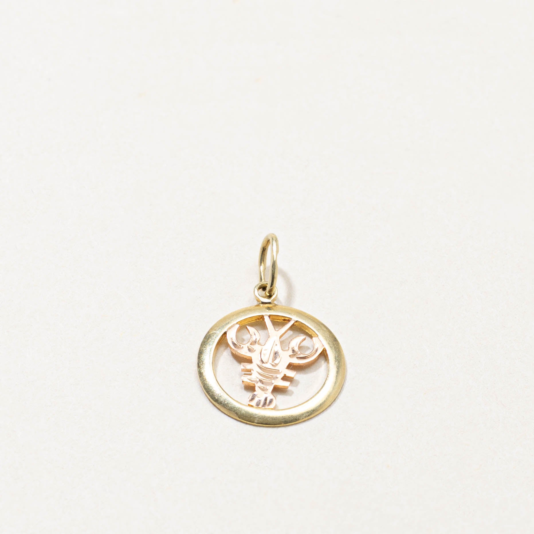 14k Scorpio Zodiac Charm