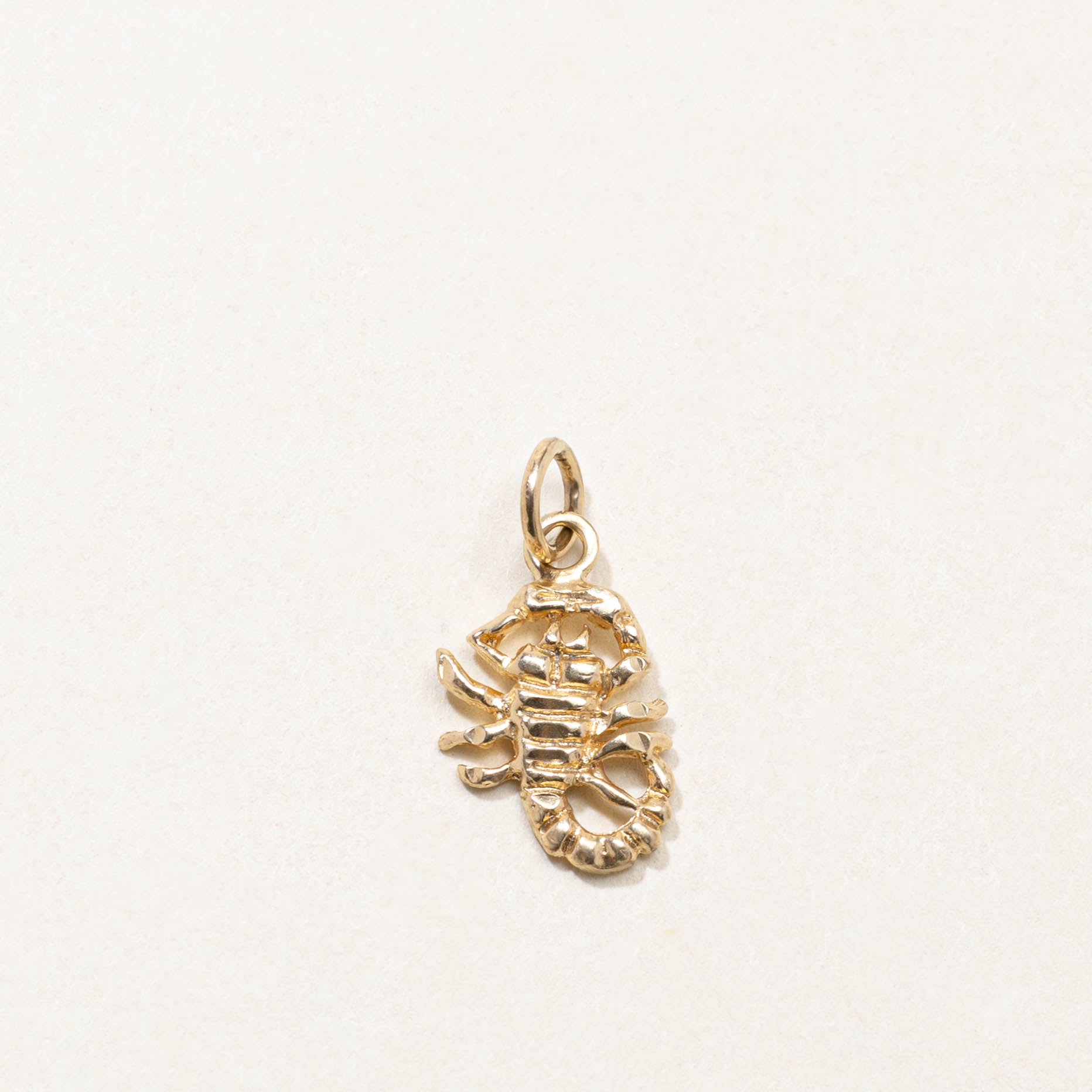 10k Scorpion Charm