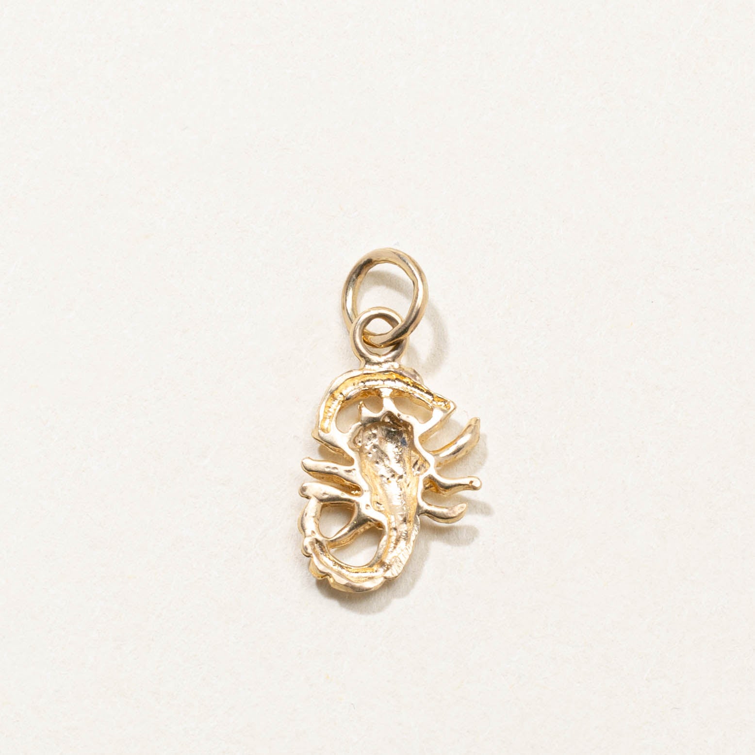 10k Scorpion Charm