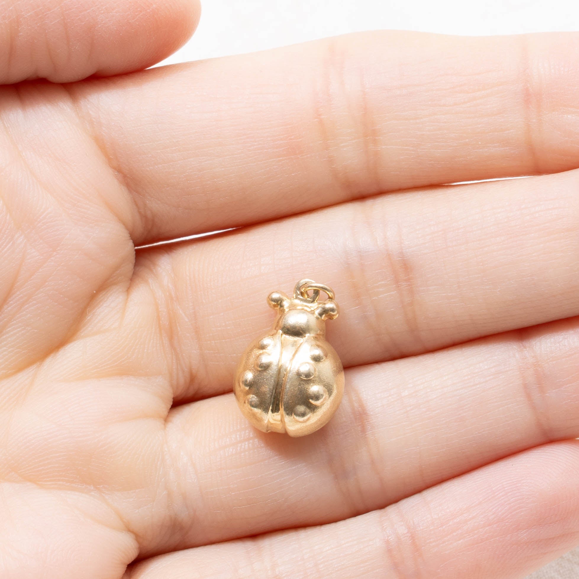 14k Ladybug Charm